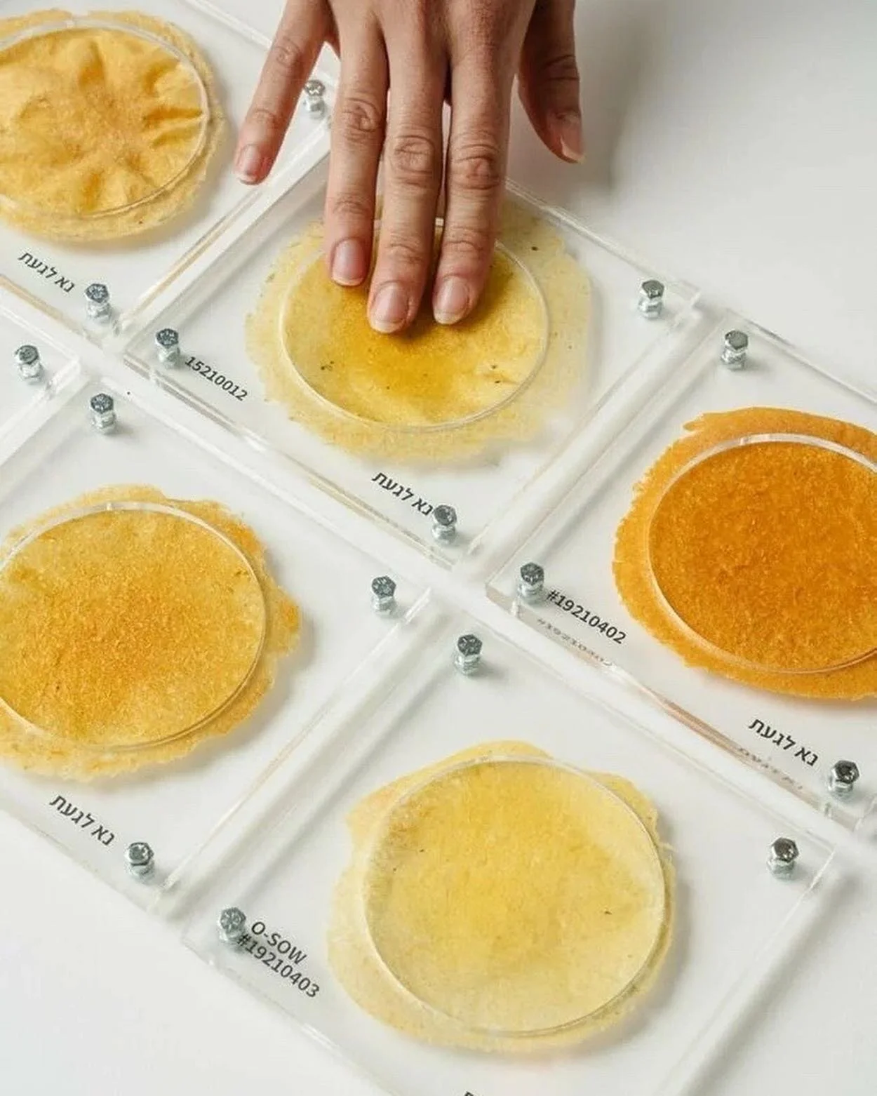 Avocado Waste Bioplastic and Molds — Material Lab