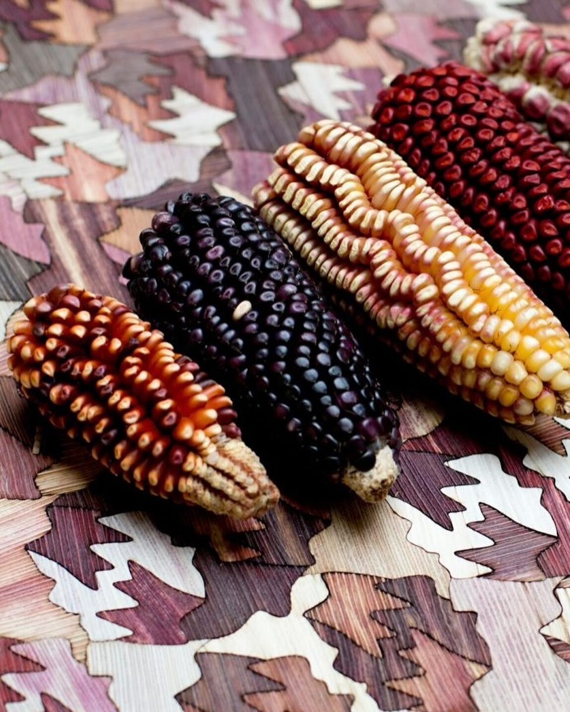 Mexican designer Fernando Laposse @fernandolaposse utilizes the colorful husks of heirloom corn species for a versatile veneer that restores biodiversity. Laposse has refined a technique for turning the husk into a marquetry material, giving this onc