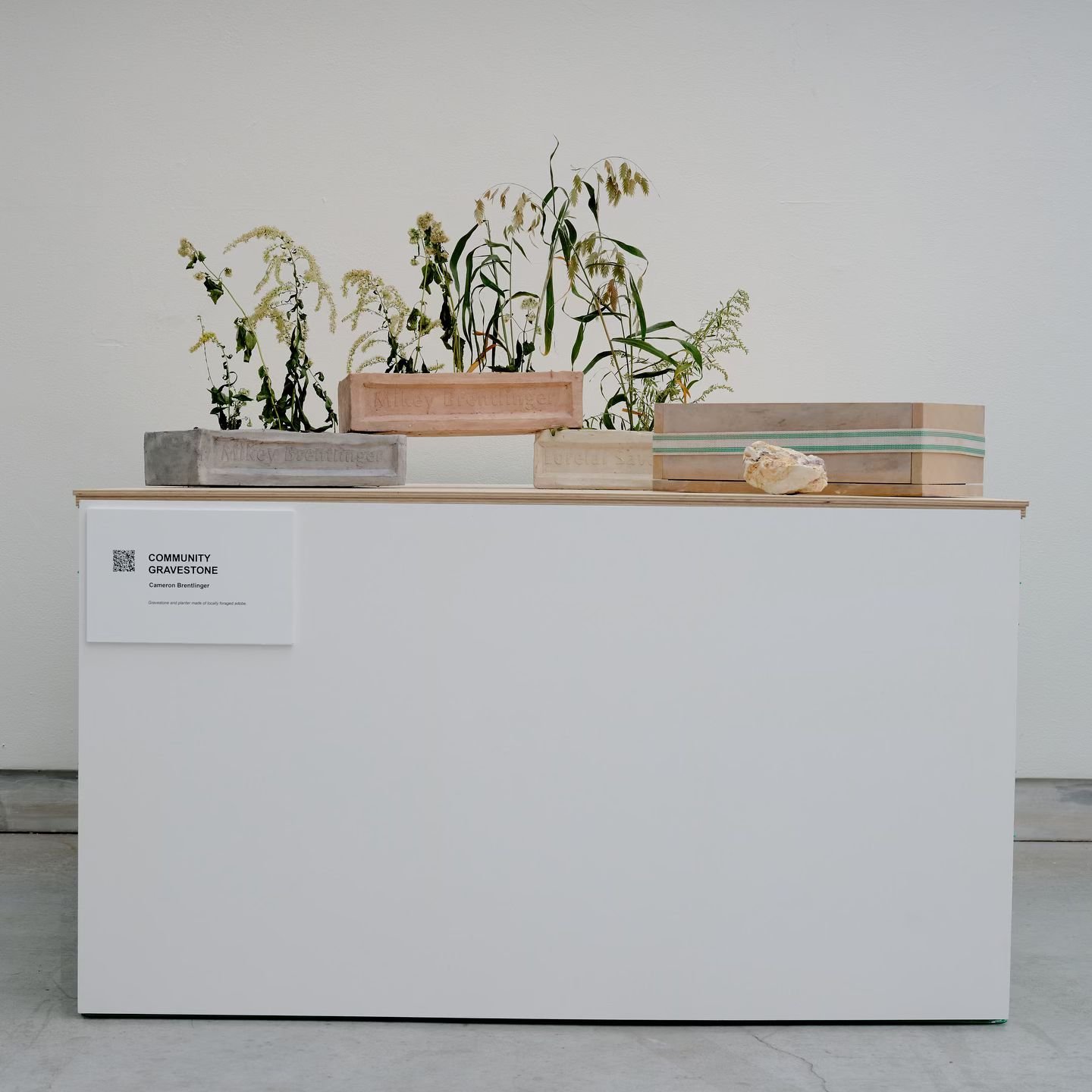 We are excited to announce that this year&rsquo;s jury has named Cameron Brentlinger @camerongroovybrentlinger (BID&rsquo;24) as the recipient of the 2024 Material Lab Prize for their project &ldquo;Community Gravestone,&rdquo; which proposes a digni