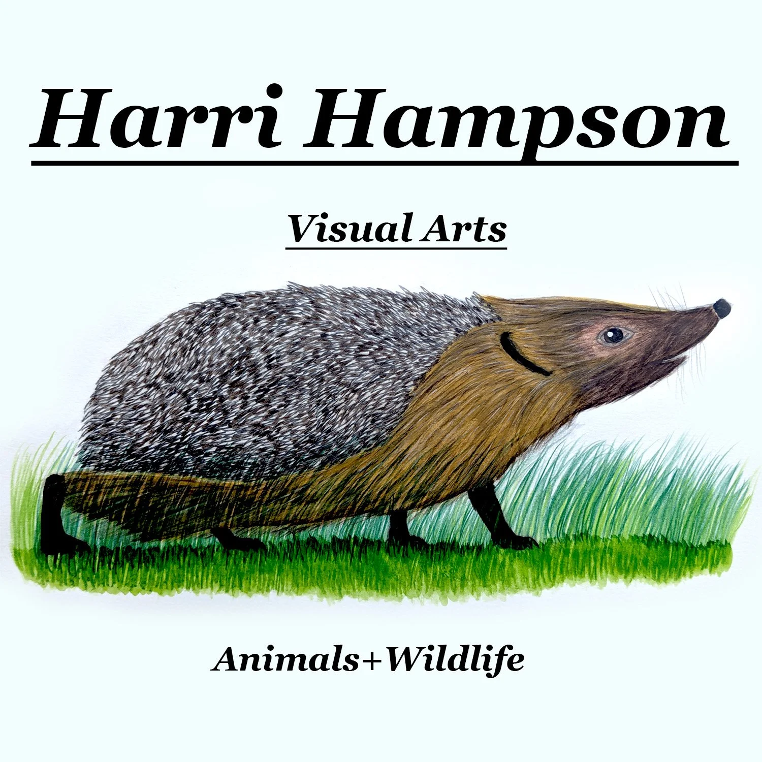 Harri-Hampson-Visual-Arts-Badge.jpg