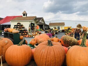 Fall Farm Fun Days at Orr’s Farm Market