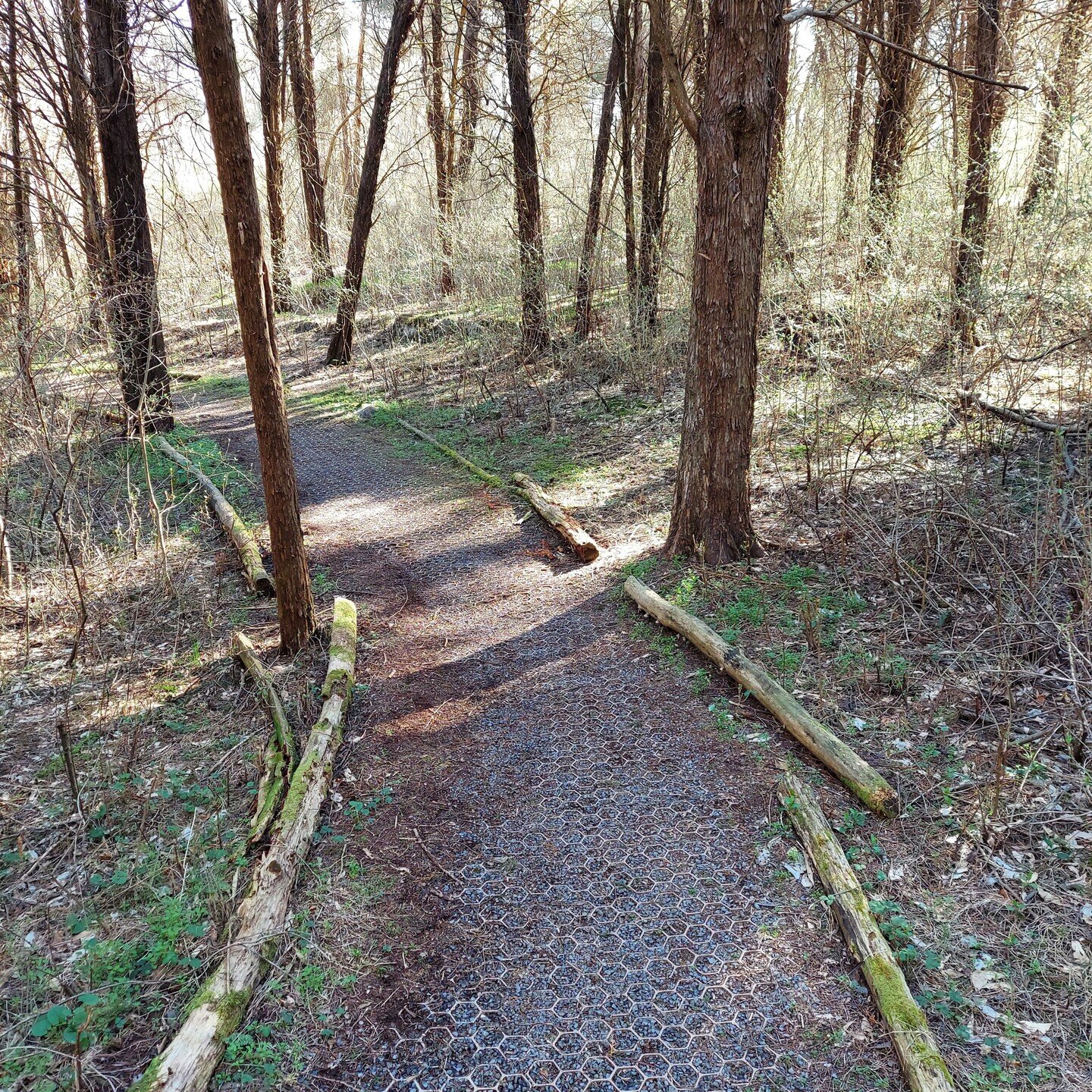 Looking to get outdoors for a small walk? Add Yankauer Nature Preserve to you list of must visit places while in Martinsburg-Berkeley County, WV. Visit https://www.potomacaudubon.org/preserves/yankauer/
 for more information.
#outdoors #naturehike #b