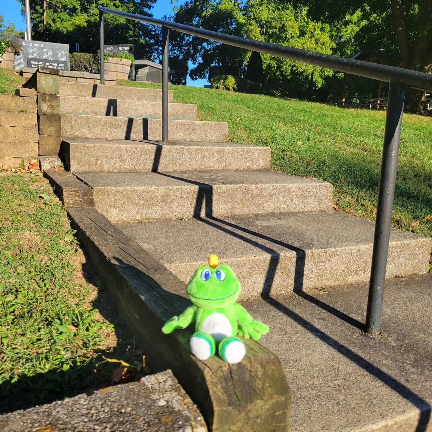 It is World Frog Day and Our Geocache frog Signal wanted to stop by and say Hi! and encourages you to get outdoors to go Geocache.
#WorldFrogDay #geocache #WVTim #visitmartinsburgwv #berkeleycountywv