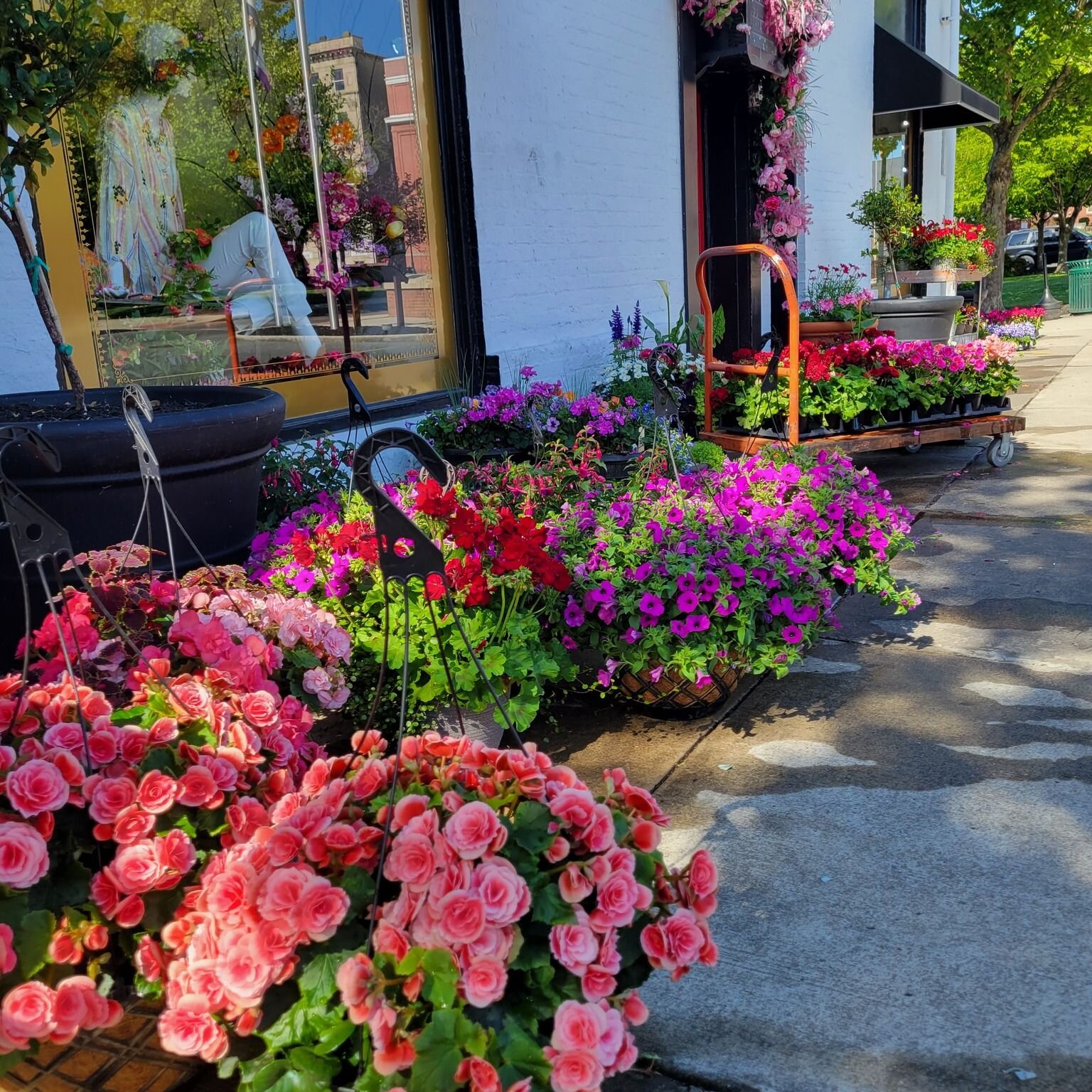The flowers and tress are blooming in Historic Downtown Martinsburg and throughout Berkeley County. With Easter being this weekend, go ahead and plan a get away to Martinsburg, Berkeley County for a little shopping or just a country road drive.

#Eas