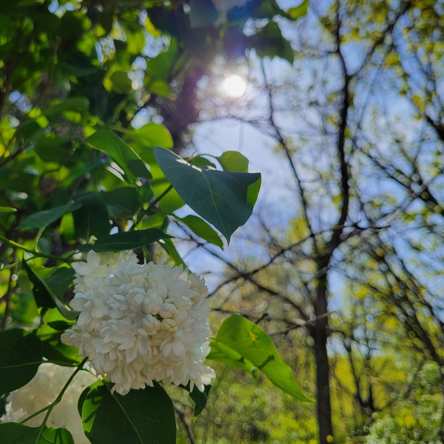 They say April Showers bring May flowers. Make your plans to get outdoors and enjoy the fresh air here in Martinsburg, Berkeley County, WV. Plan your next adventure today.
#springtime #outdooradventures #visitmartinsburgwv #berkeleycountywv