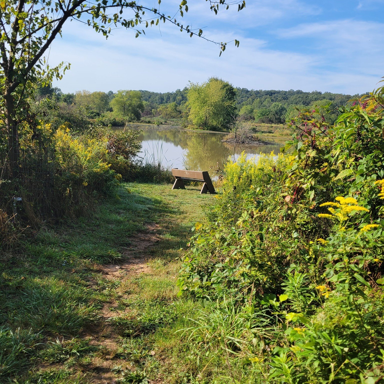 Warmer temperatures appear to be here and nature is calling for you to get outdoors. Make plans to to visit Stauffer's Marsh which is located at 4069 Back Creek Valley Road
Hedgesville, WV.  Learn more about it at https://www.potomacaudubon.org/prese