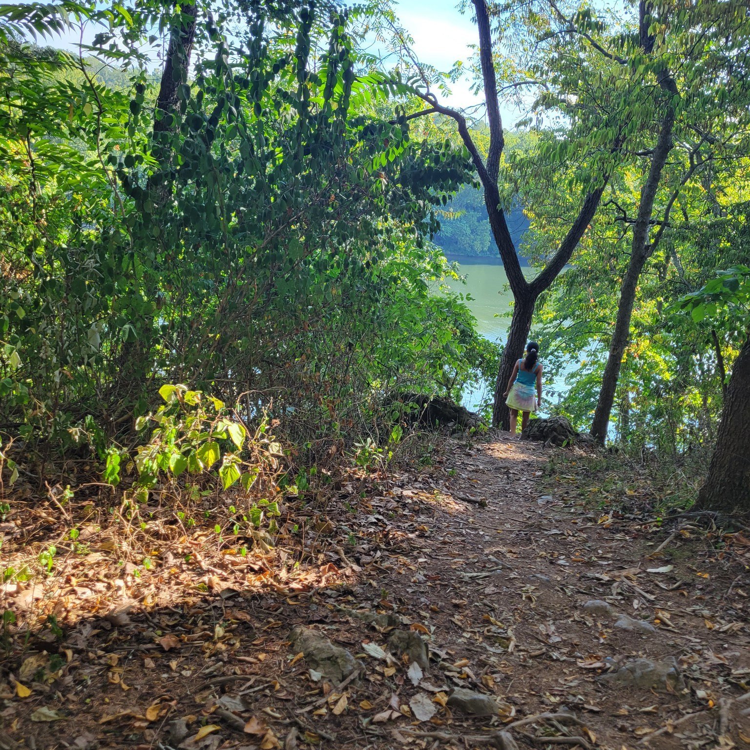 Plan a trip to Yankauer Preserve for a short walk and enjoy nature. Don't forget to take a peek at the Potomac Rives, and listen to the birds.
Visit https://www.potomacaudubon.org/preserves/yankauer/ to learn more about Yankauer Preserve and the Poto