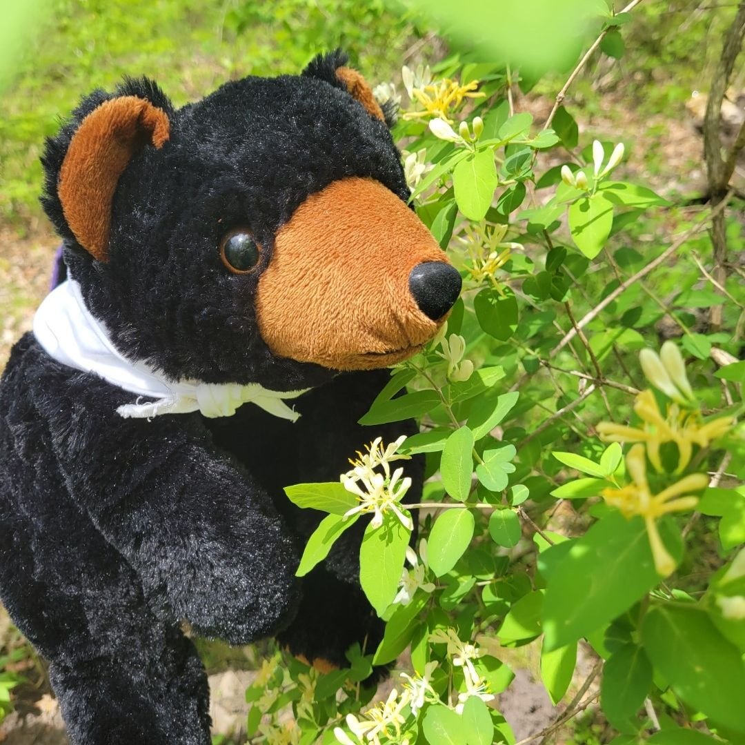 Marti has been on the move again and look what he found this week.
Marti encourages you to take a break and go smell the flowers and enjoy the moment.

#martionthemove #getoutdoors #visitmartinsburgwv #berkeleycountywv #springisintheair