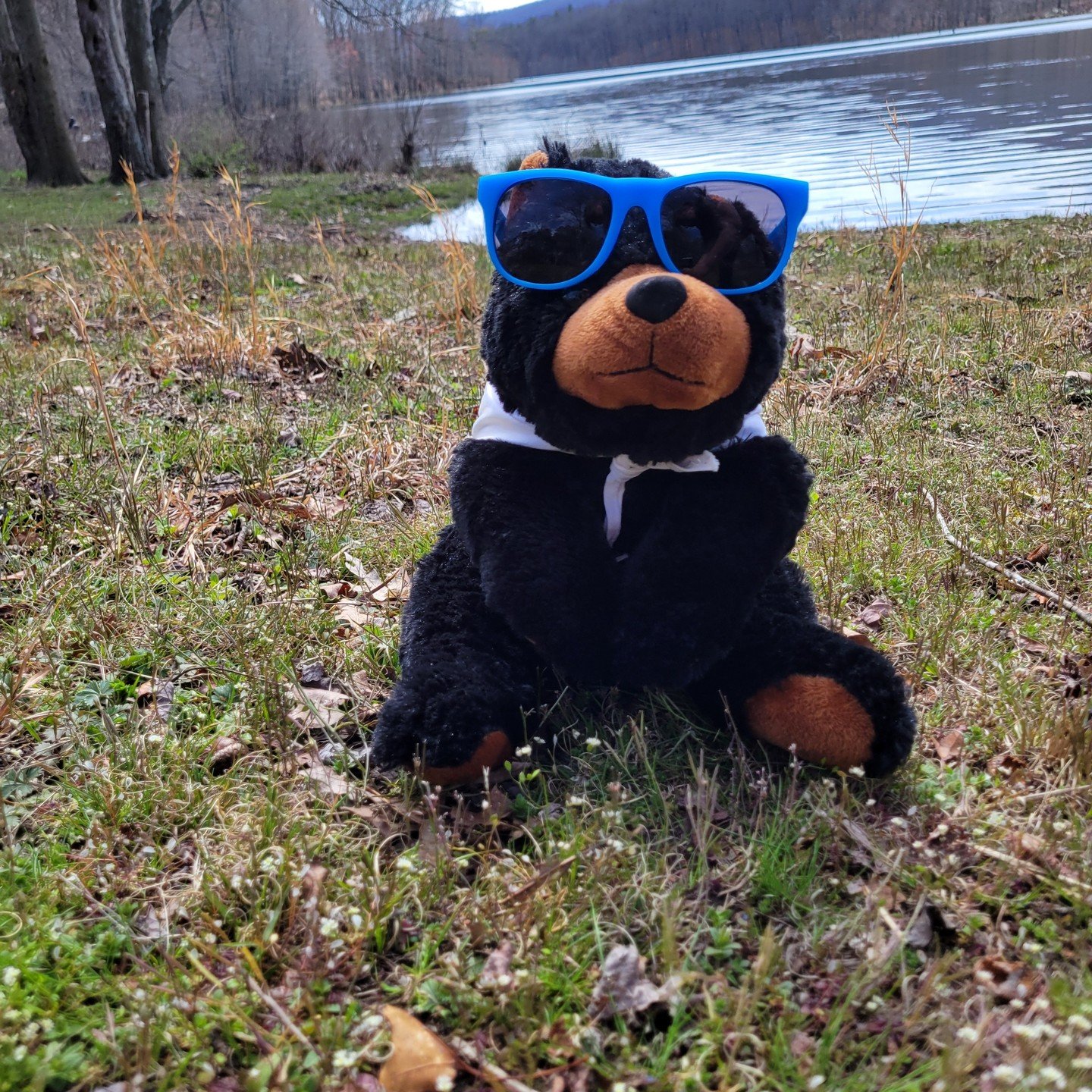 Marti recently unplugged for the day and visited Sleepy Creek Wildlife Management Area. He had a great day filled with hiking, bird watching and peeping the early spring flowers. 

#martionthemove #unplugged #wildlifemangementarea #visitmartinsburgwv