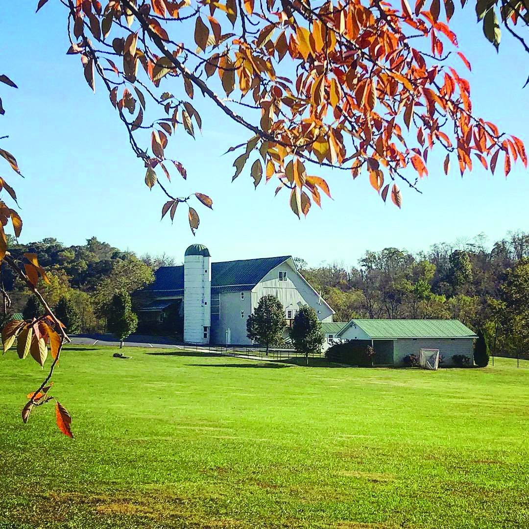 Poor House Farm Park  features 3.5 miles and more of mountain biking bike trails for beginners through advanced riders. Grab your friends and explore them together.