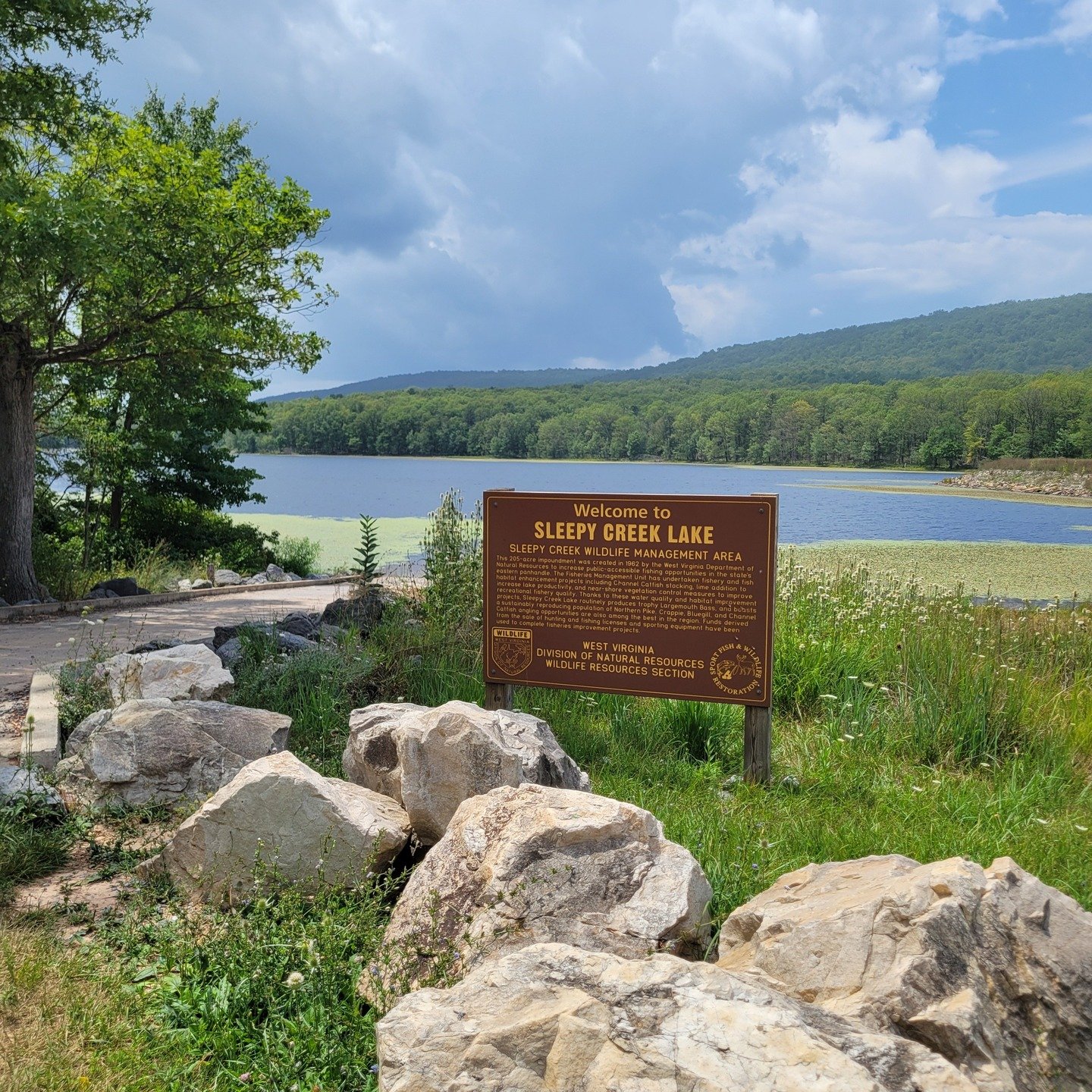 Looking to get outdoors while you are visiting Martinsburg WV? Add Sleepy Creek Wildlife Management Area to you list of places to visit for hiking, bird watching, fishing or primitive camping. 

Visit https://wvdnr.gov/sleepy-creek-wma-provides-hunti