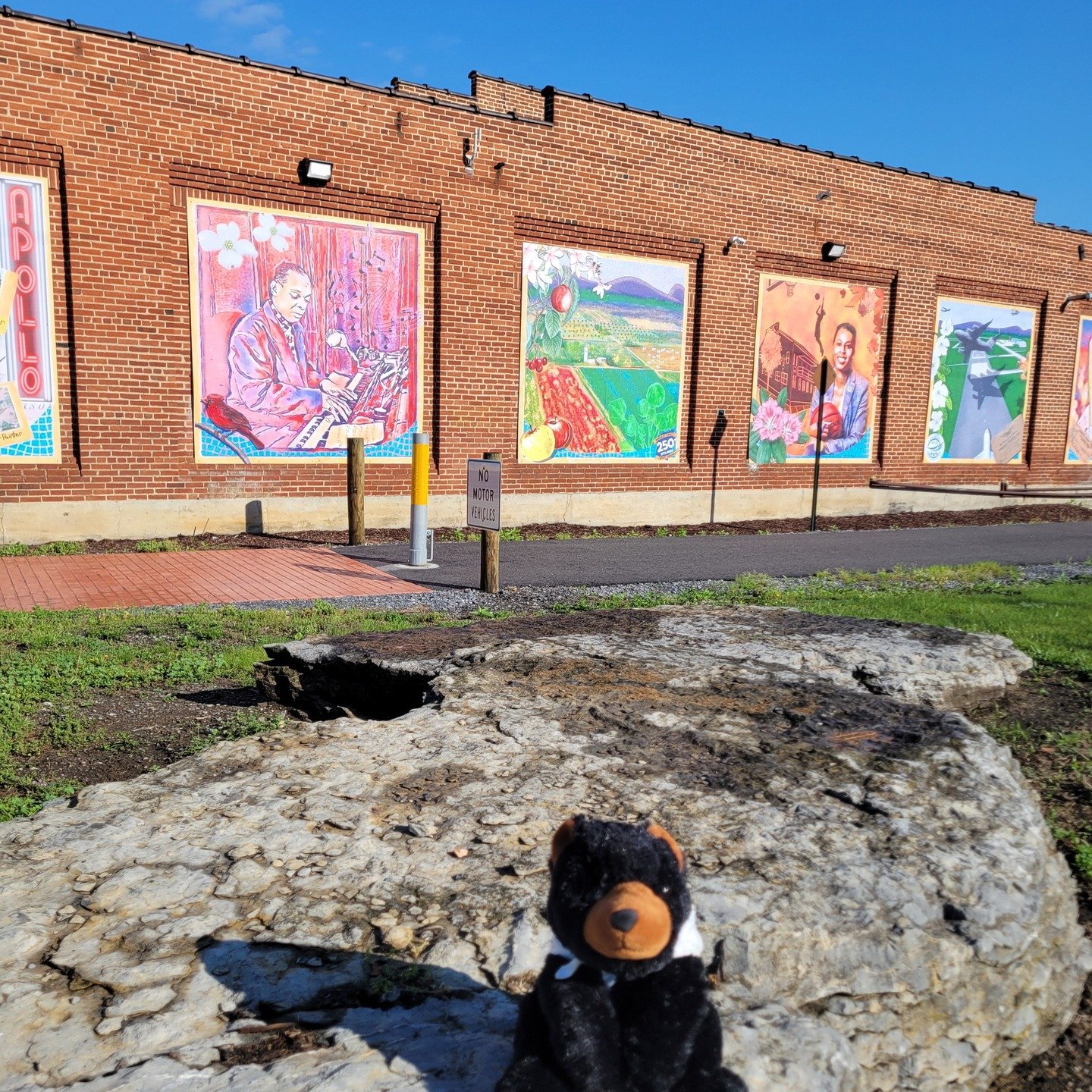 Have you seen the murals along the Frog Hollow Trail Community-Martinsburg, WV. Marti enjoyed getting out this morning for a brief walk on the paved walking path. 

#froghallowtrail #walkingpath #martionthemove #visitmartinsburgwv #berkeleycountywv