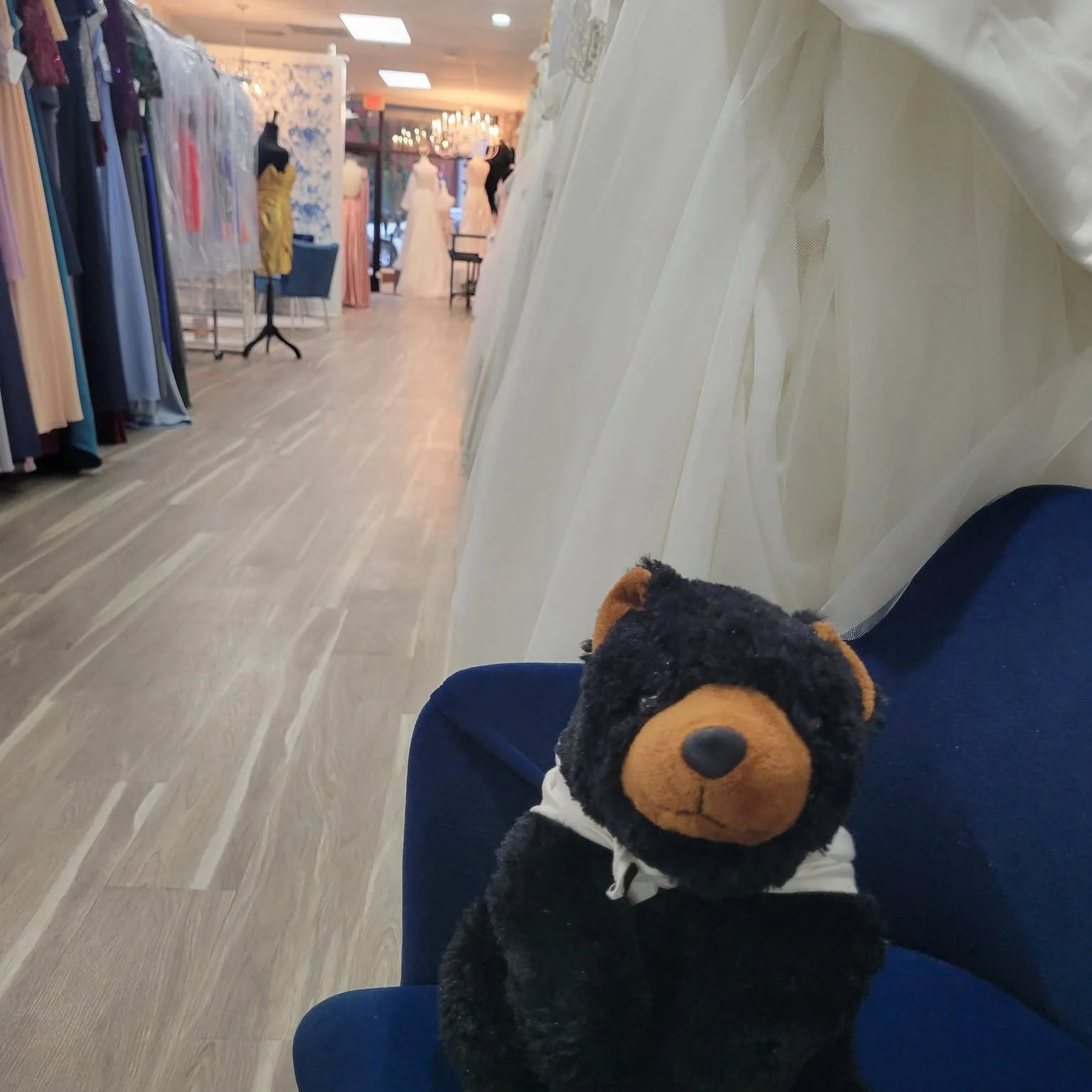 Marti just loves stopping by the small businesses in historic downtown Martinsburg, WV. Here Marti is checking out all the formal wear at Grace Riane Bridals &amp; Formalwear. 
#ShopLocal  #martionthemove #visitmartinsburgwv  #berkeleycountywv
