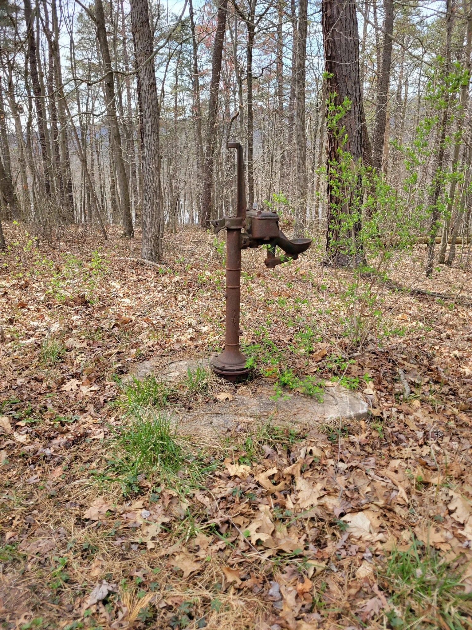 Fall is sometimes a great time to find hidden gems. Here is an old water pump that is located in one of the privative camp grounds at Sleepy Creek Wildlife Management Area. If you visit Sleepy Creek Wildlife Management area in the fall, be aware of t