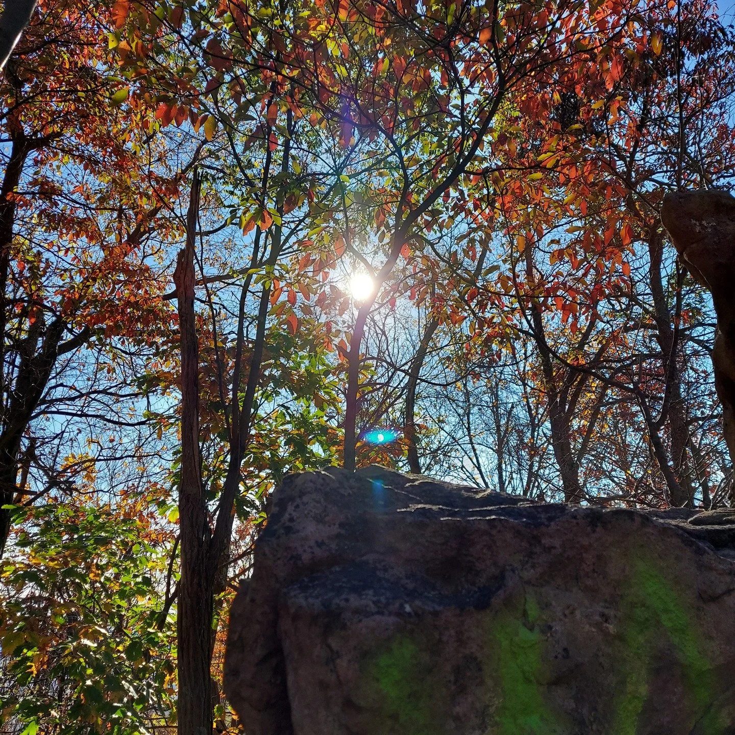 Fall is in the air and the leaves are slowly changing in our area. Make plans to visit Berkeley County, WV. Visit travelwv.com for more information. 

#visitmartinsburgwv #berkeleycountywv