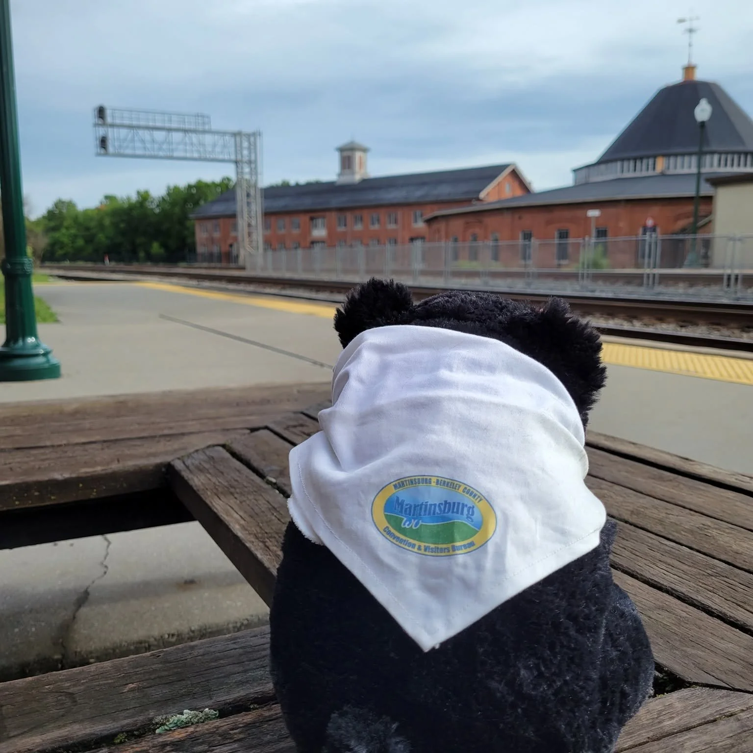 Sometimes you can spot Marti at the train station watching the trains go by. Did you know that Martinsburg, WV is an Amtrak stop on the Floridian line that goes from Chicago to Miami? Marti also likes to watch the freight trains go by. 

#martionthem