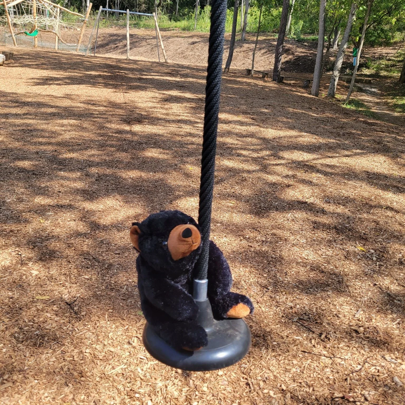 Marti just hanging out at Poor House Park. He enjoys visiting the Nature-Based Playground. While you are visiting Berkeley County, WV, make sure to add a stop to one of the many parks located throughout the county.  Visit mbcparks-rec.org for more in