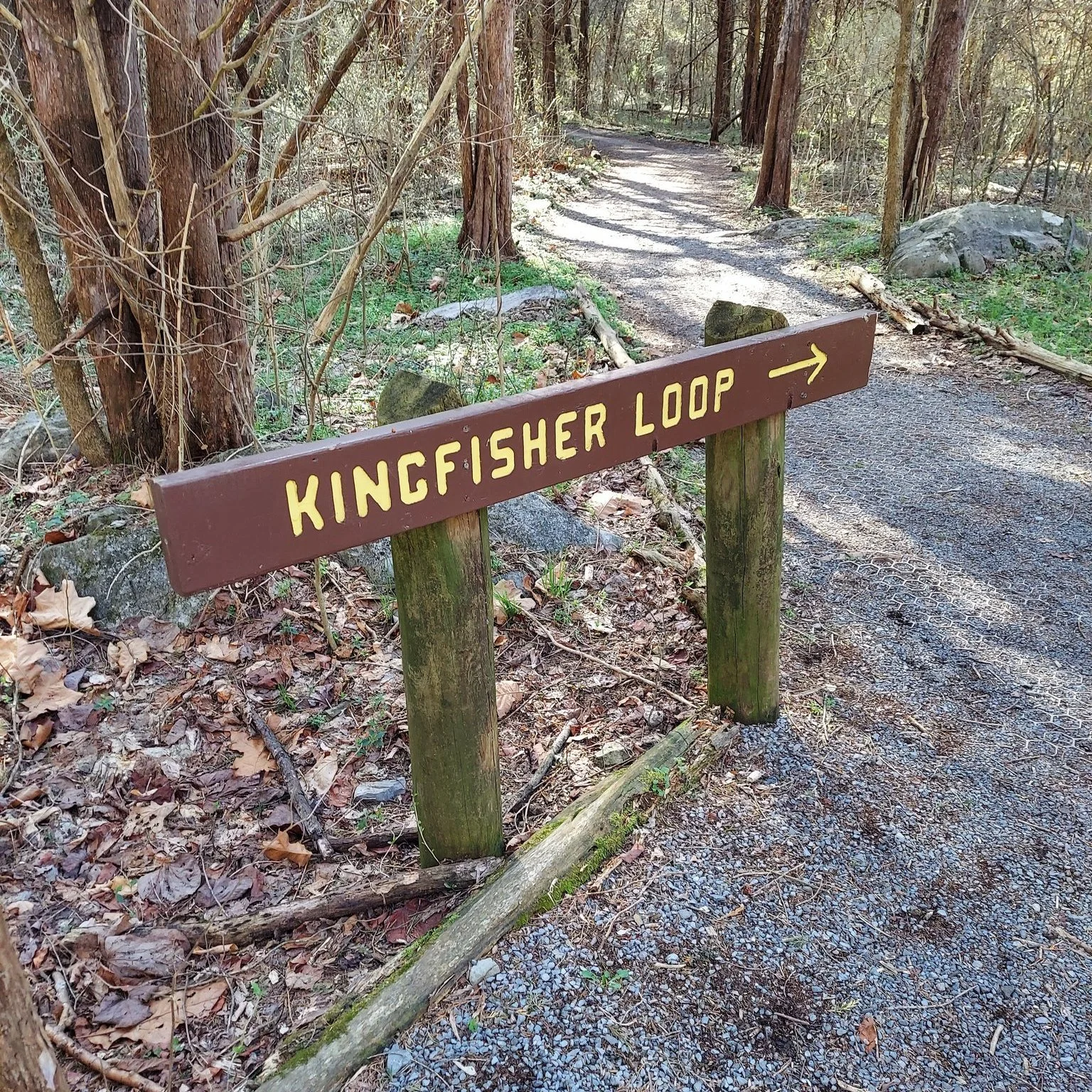 Looking to get out for a short walk in nature or planning your 2026 outings now. Make sure to add Yankauer Nature Preserve to your list of places to visit while you are in Berkeley County, WV. Visit www.potomacaudubon.org for more information about t