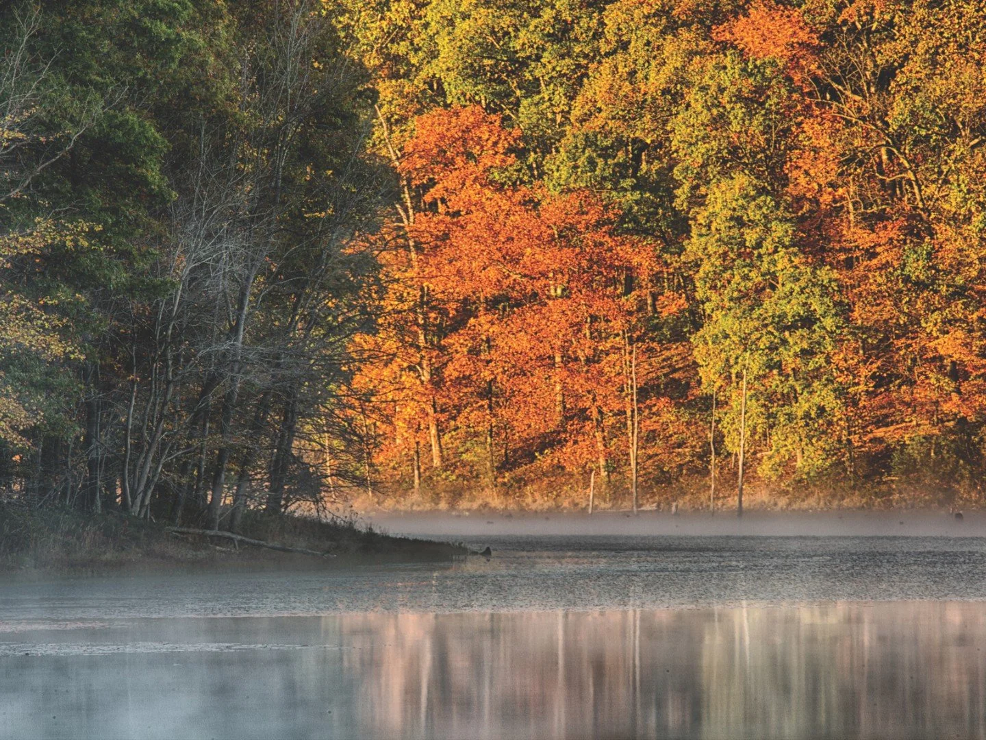 🍂 Soak up the last colors of fall in Berkeley County!
From scenic strolls at Yankauer Nature Preserve to peaceful hikes through Sleepy Creek Wildlife Management Area, Martinsburg is surrounded by outdoor beauty. Grab a jacket, breathe in the crisp a