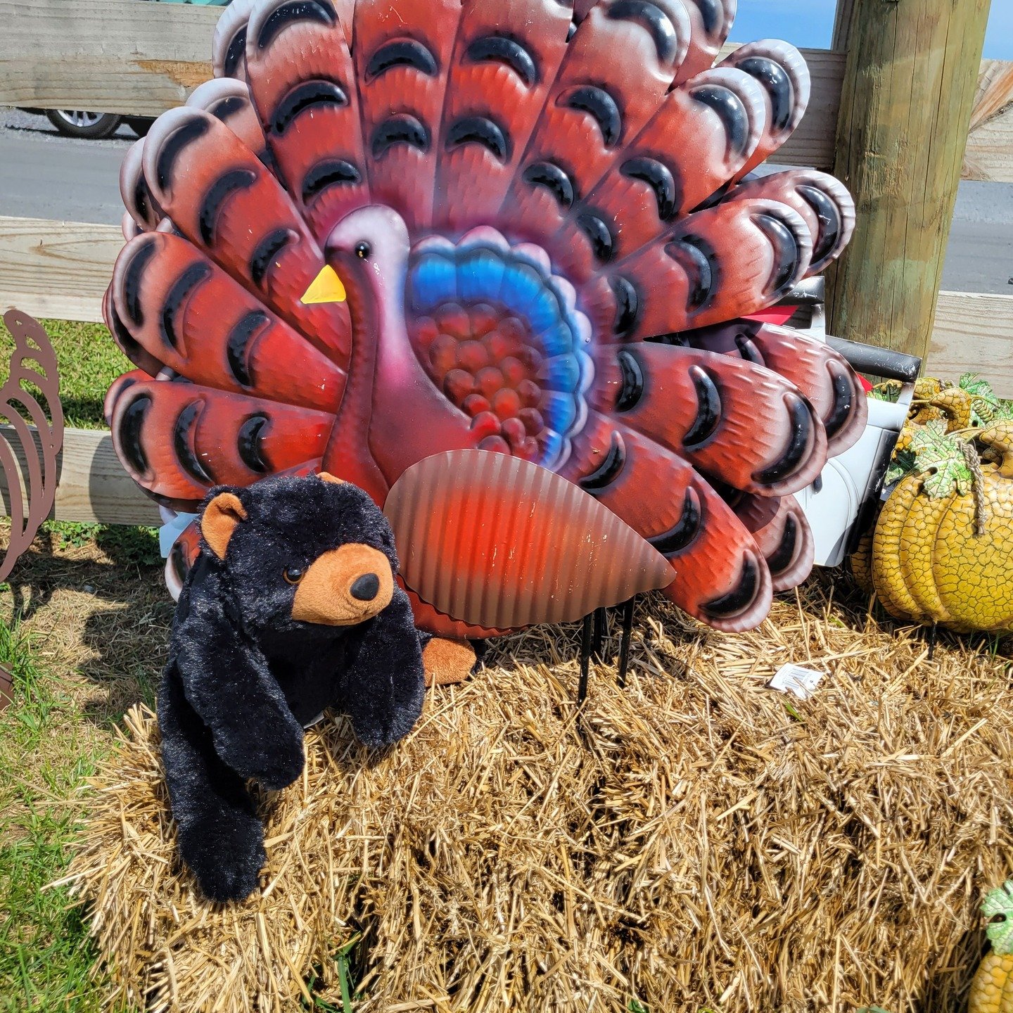 Marti and the staff at the Martinsburg-Berkely County CVB wanted to wish everyone a Happy Thanksgiving.
The visitor's center will be closed on Thursday, but will reopen on Friday at 9 am. Visit travelwv.com for more information. 
#visitmartinsburgwv 