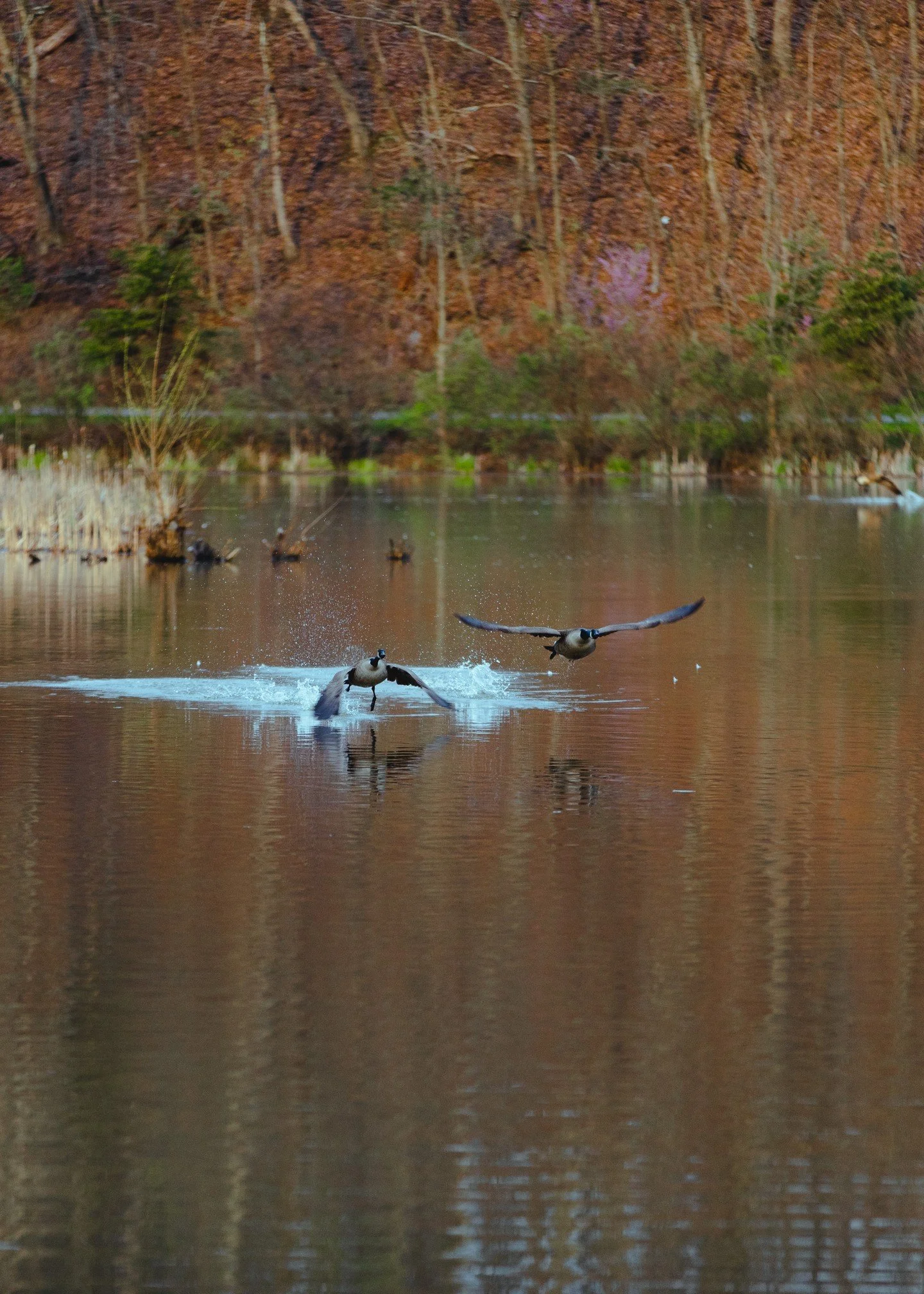 ❄️ Fresh air feels good year-round!
Bundle up and take a walk at Stauffer&rsquo;s Marsh Nature Preserve or around Poor House Farm Park. The peaceful scenery and crisp winter air make for a perfect recharge before the holidays.
🚶&zwj;♀️ Explore Marti