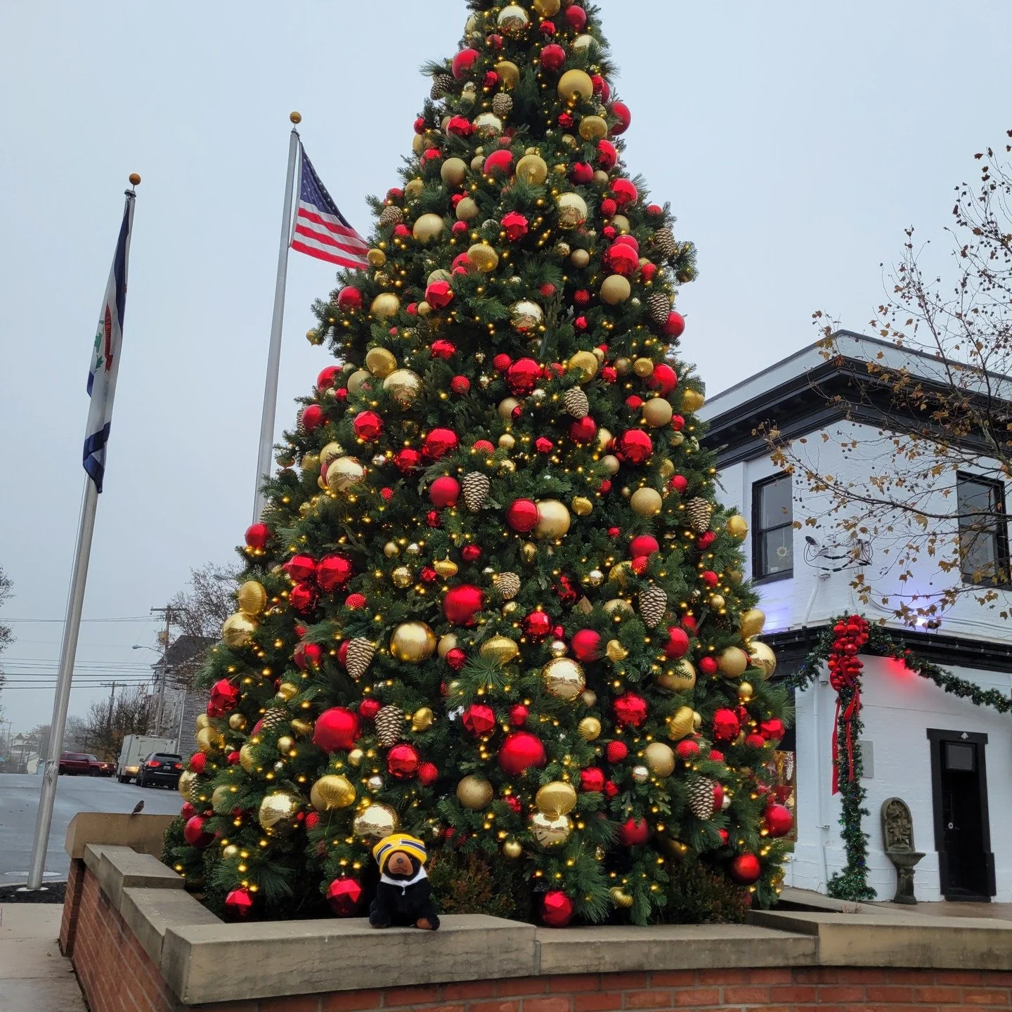Add a stop to Martinsburg's town square to get a picture of the tree and then plan to visit all the small businesses in historic downtown Martinsburg.

📷 Marti in front of the tree

#visitmartinsburgwv #martionthemove #berkeleycountywv