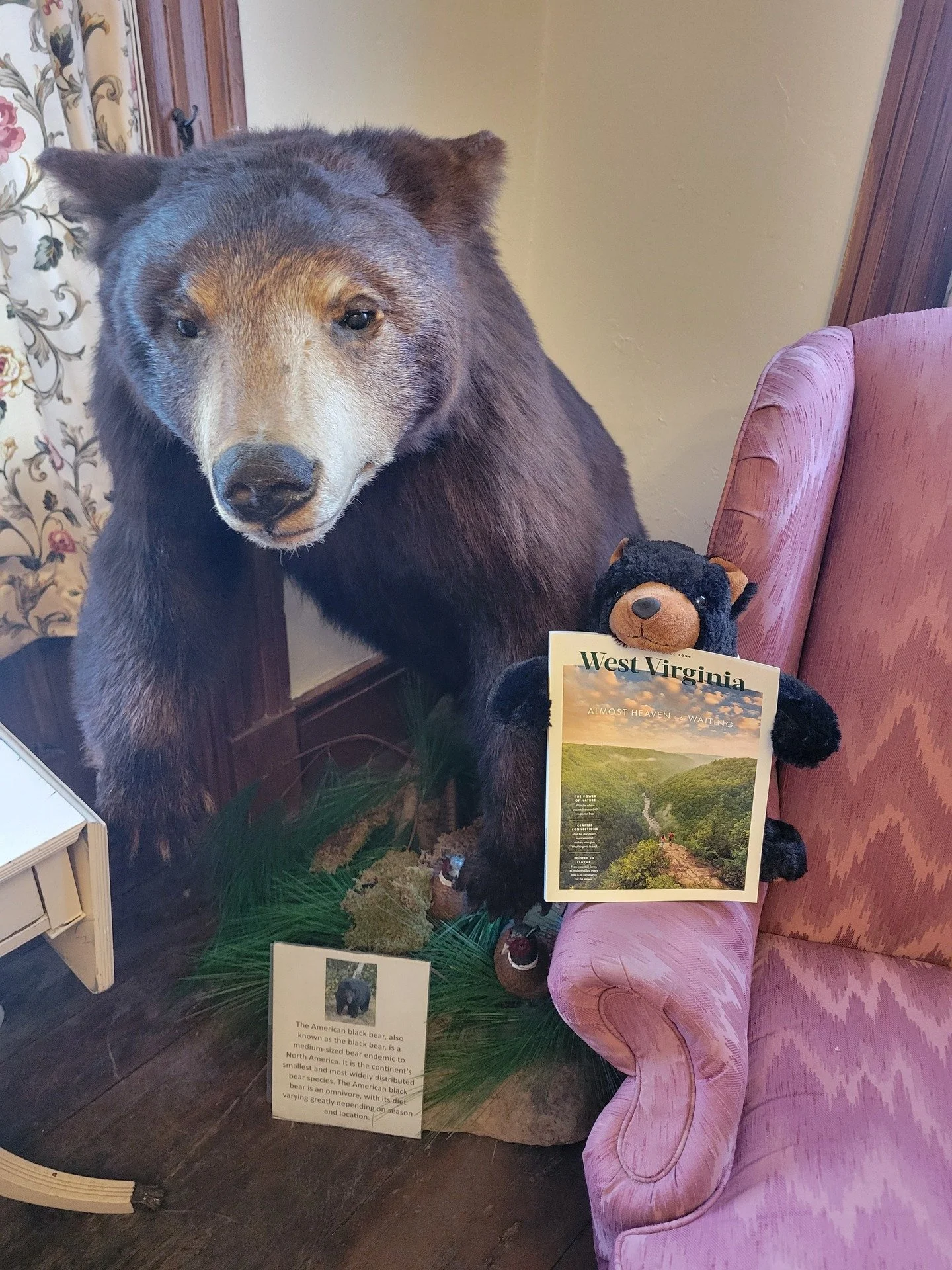 Marti and Winston are excited about the new 2026 West Virginia Tourism Guide. They are currently available at Martinsburg-Berkeley County CVB located at 126 E Race St, Martinsburg, WV or you can order one at https://wvtourism.com/.

#martionthemove #