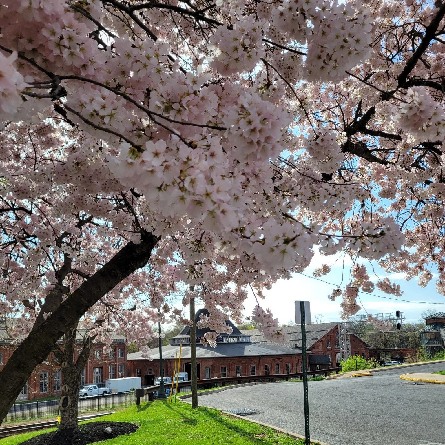 Happy First Day of Spring!

Soon the grass will be greener and the flowers will be blooming. Visit travelwv.com to make you spring getaway plans today. 

picture - blooming tree with Martinsburg Roundhouse in background

#visitmartinsburgwv  #berkele