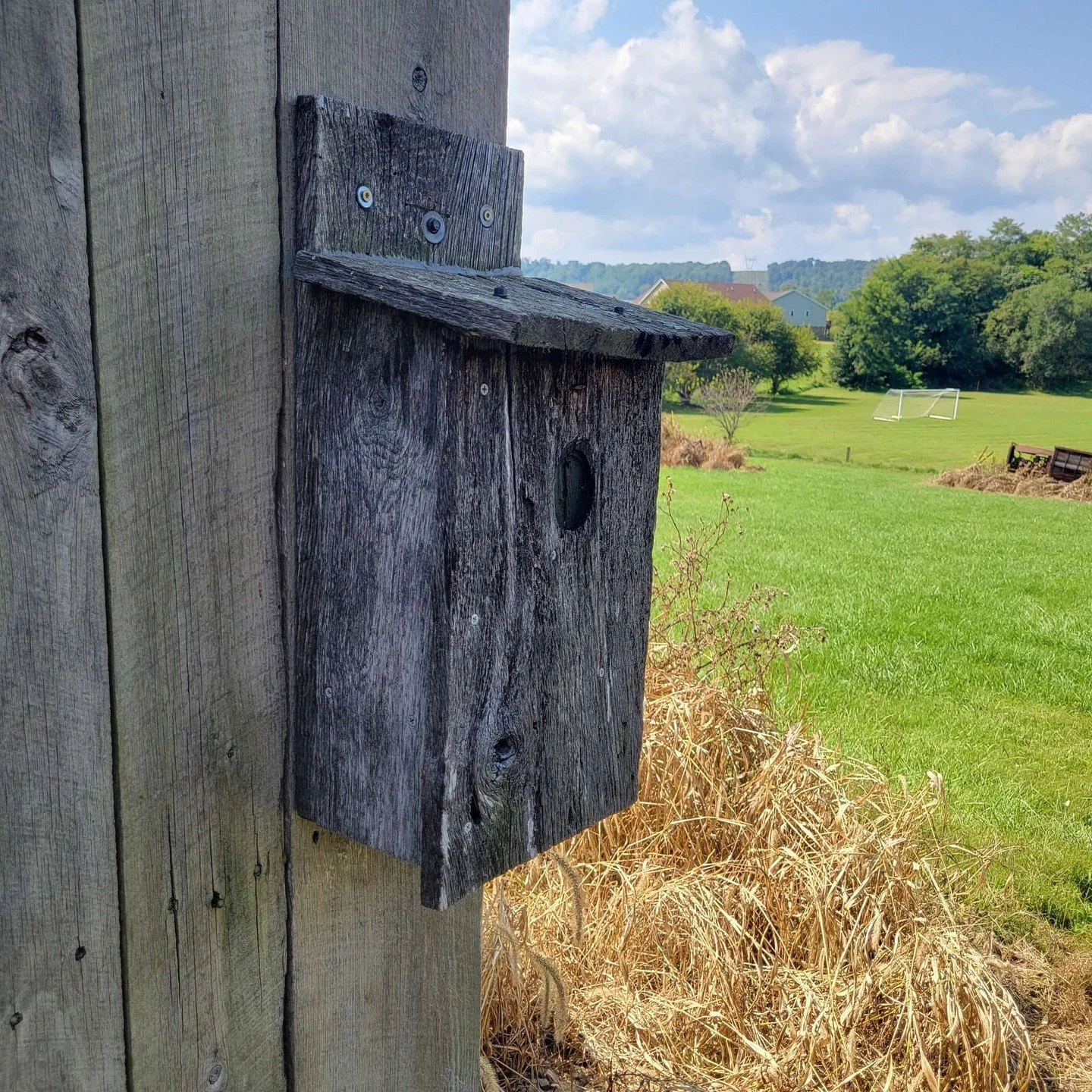 🌟 Ready for a modern-day treasure hunt? Berkeley County is the #1 county in the world for geocaching! With over 210 active caches who have earned 14,000 favorite points or more, there&rsquo;s a challenge for every experience level.

Explore our Hidd