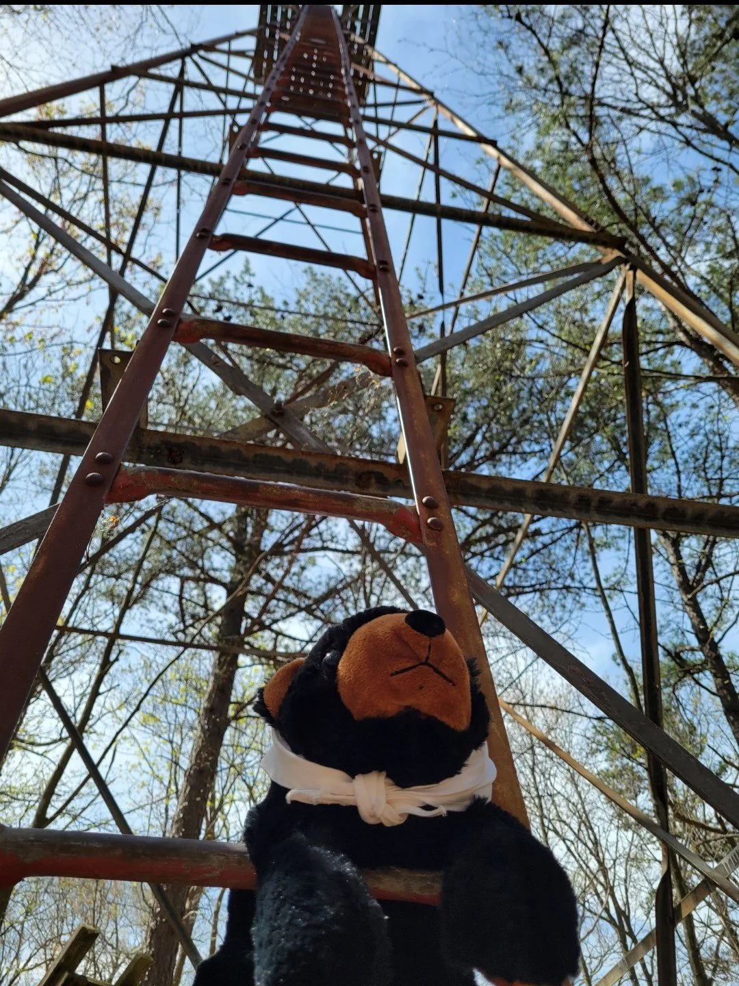 It is a rainy morning here in Martinsburg, but Marti is day dreaming about that one time he hiked to Beacon Tower along the Beacon Train that is also part of the Tuscarora Trail.

Learn more about the train at https://www.hikethetuscarora.org/

#DayD