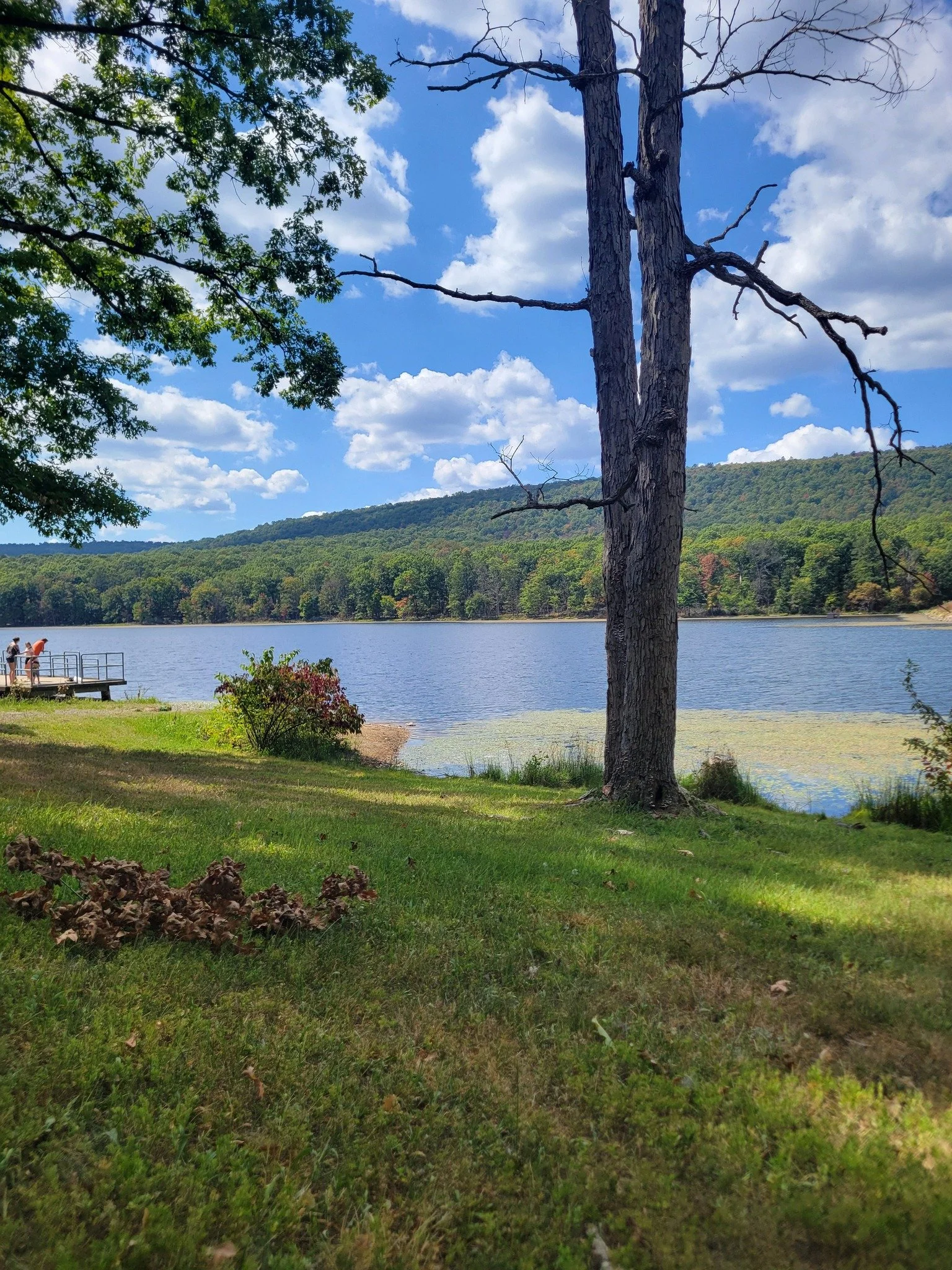 Looking to get outdoors? Sleepy Creek Wildlife Management Area may be the place for you if you want to disconnect for the day. In addition to offering hunting and fishing opportunities, Sleepy Creek WMA is a great place to enjoy nature. There&rsquo;s
