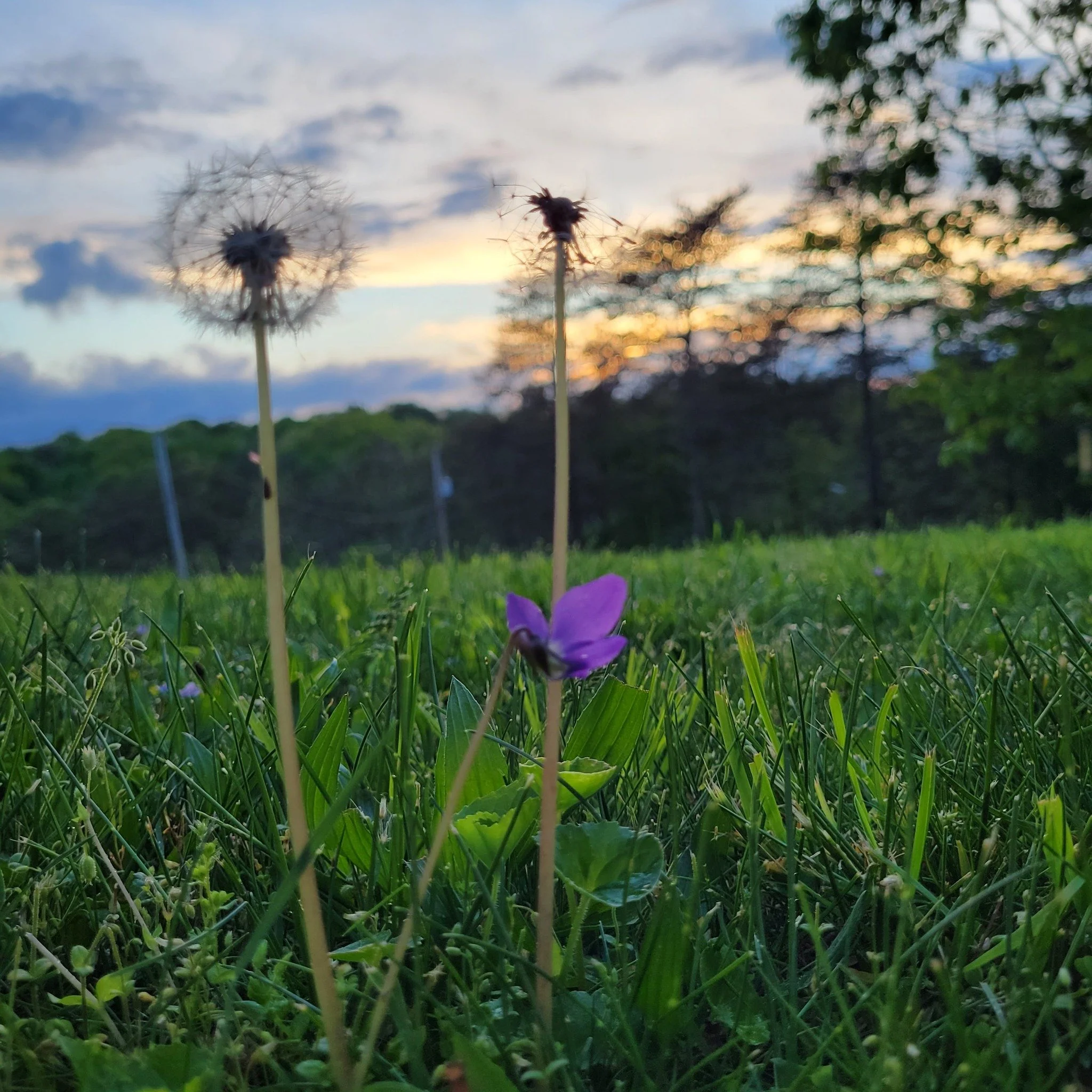 Take time to get outdoors and enjoy nature. Plan your next outdoor get away to Martinsburg-Berkeley County WV. Visit travelwv.com for more information.

#getoutside  #visitmartinsburgwv  #berkeleycountywv  #almostheaven
