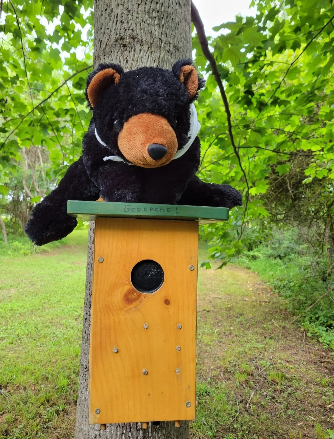 This just happens to be one of Marti's favorite Geocaches. For more information about Geocaching in Berkeley County, WV visit travelwv.com.

#martionthemove #visitmartinsburgwv #berkeleycountywv #geocaching #almostheaven