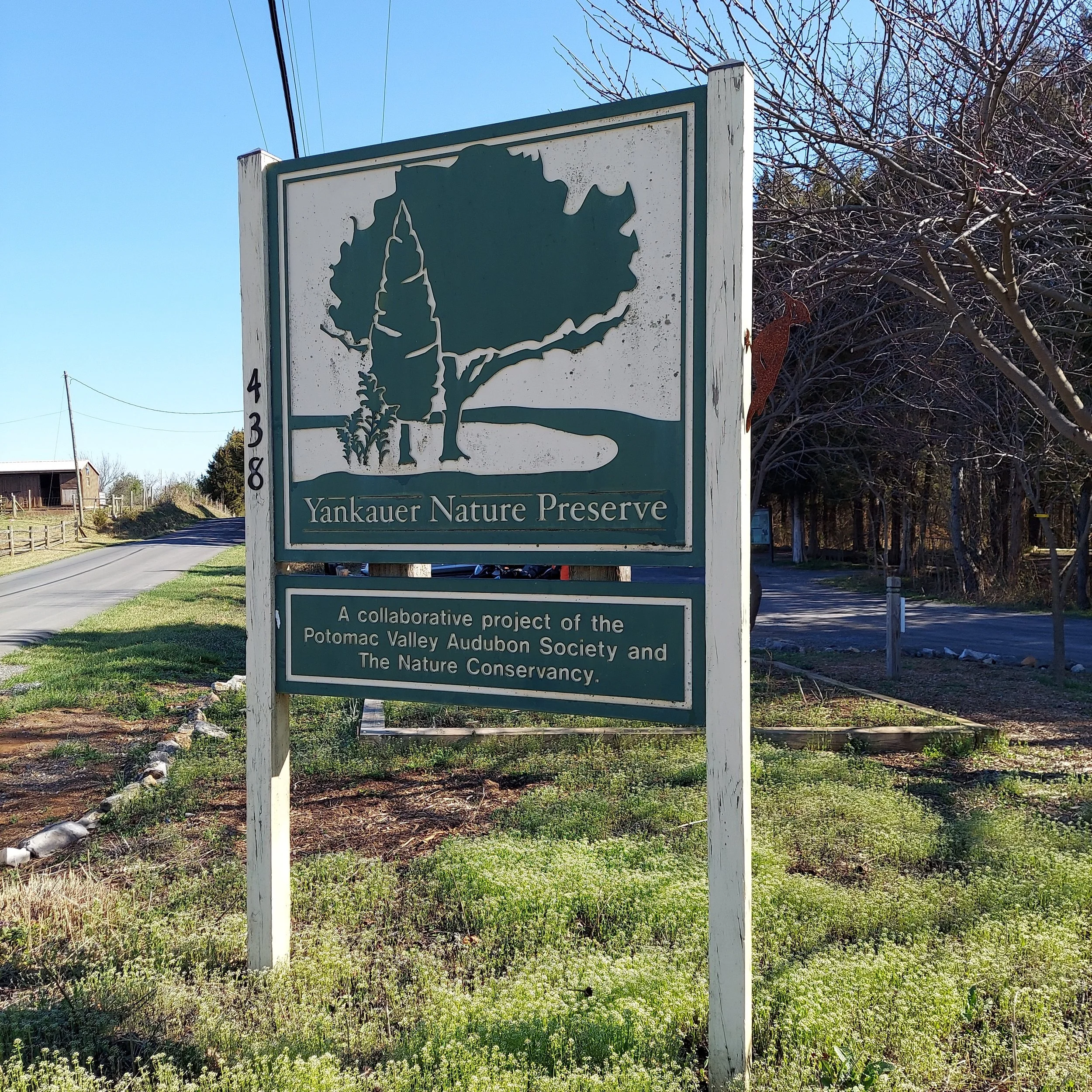 The 104-acre Yankauer Nature Preserve is located in Berkeley County, WV, just northwest of Shepherdstown. This preserve is historic farmland that is now forested. The backside of the preserve overlooks the Potomac River. For more information about th