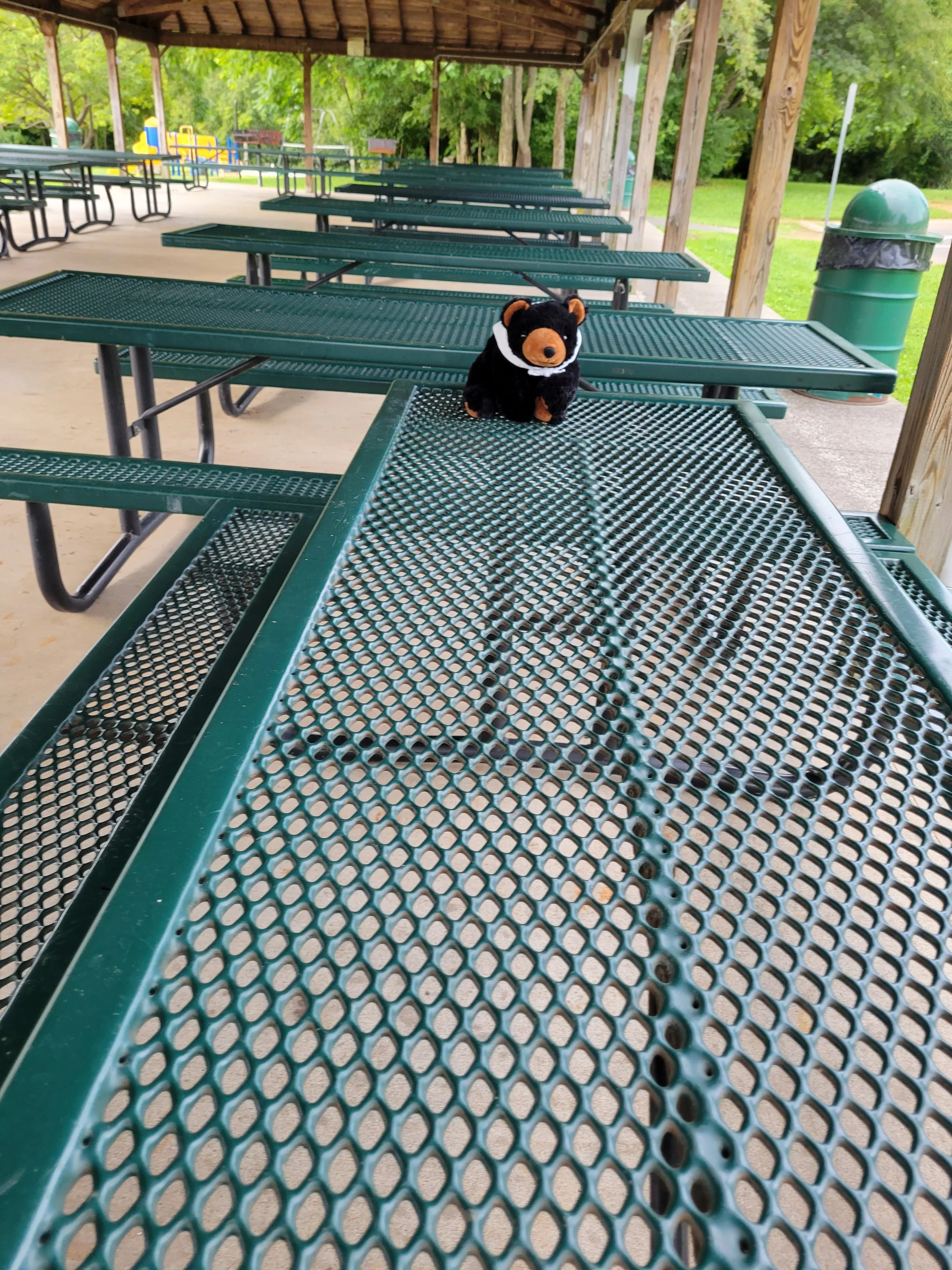 Marti is now counting down to this Memorial Day Weekend and the summer season. For more information about all of the parks in Berkeley County and pavilion rentals visit https://www.mbcparks-rec.org/

#martionthemove #memorialdayweekend #visitmartinsb
