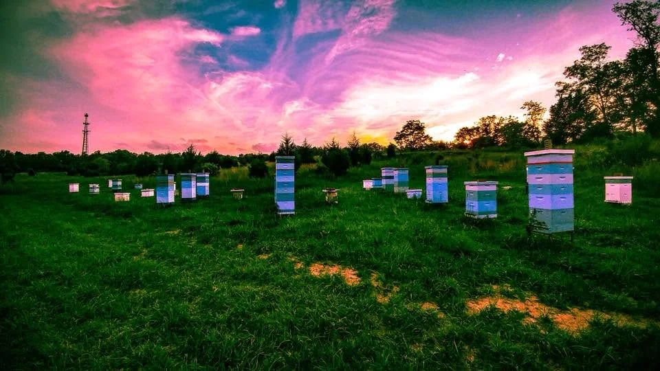 New Places to Explore in Martinsburg, Berkeley County.