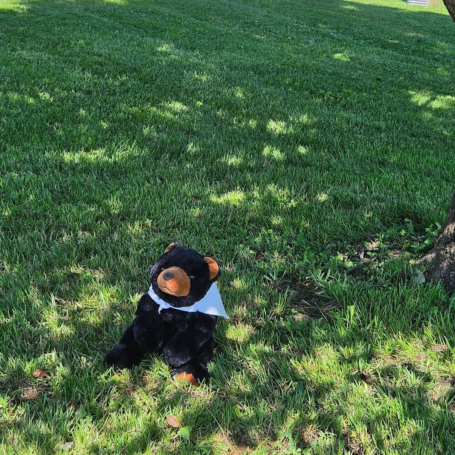 Marti just enjoys getting outdoors and just enjoying nature. You just never know where you may find him. Today he decided to take a break under a tree at Poor House Farm Park. 

#martionthemove #visitmartinsburgwv #berkeleycountywv #nature