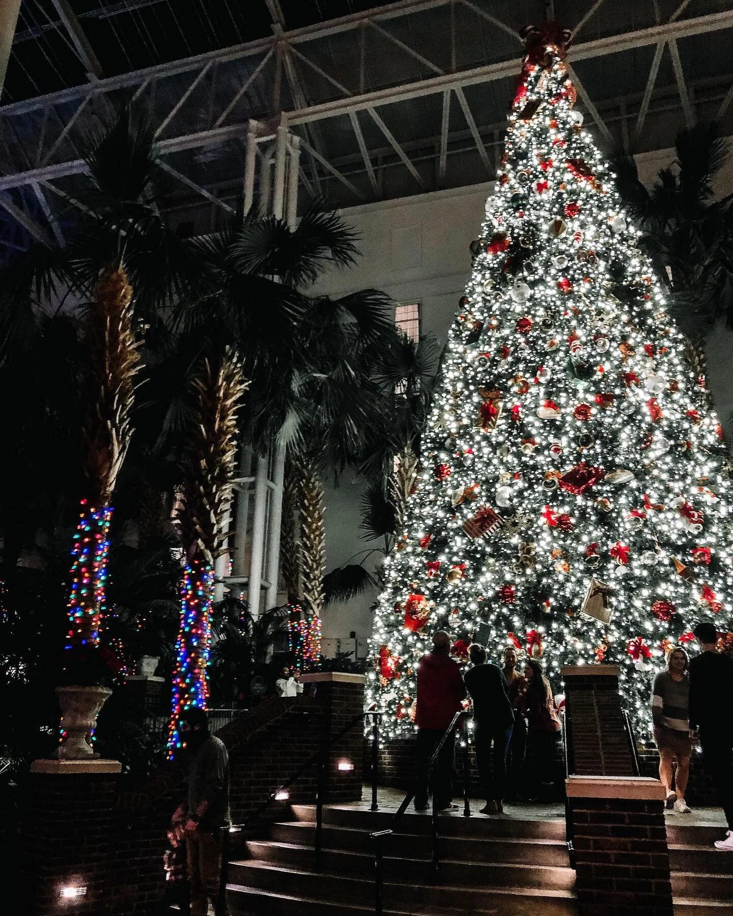 (3/3) &ldquo;For all I know of seasons
Is that You take Your time
You could have saved us in a second
Instead You sent a child&rdquo;
&bull;
&bull;
While I only see in part, the way of Jesus seems the slowest + most pain-staking...
but maybe efficien