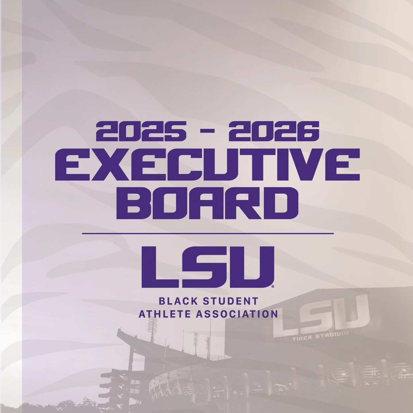 Meet the 2025-2026 BSAA Executive Board. Here&rsquo;s to a year of unity, excellence, and impact!