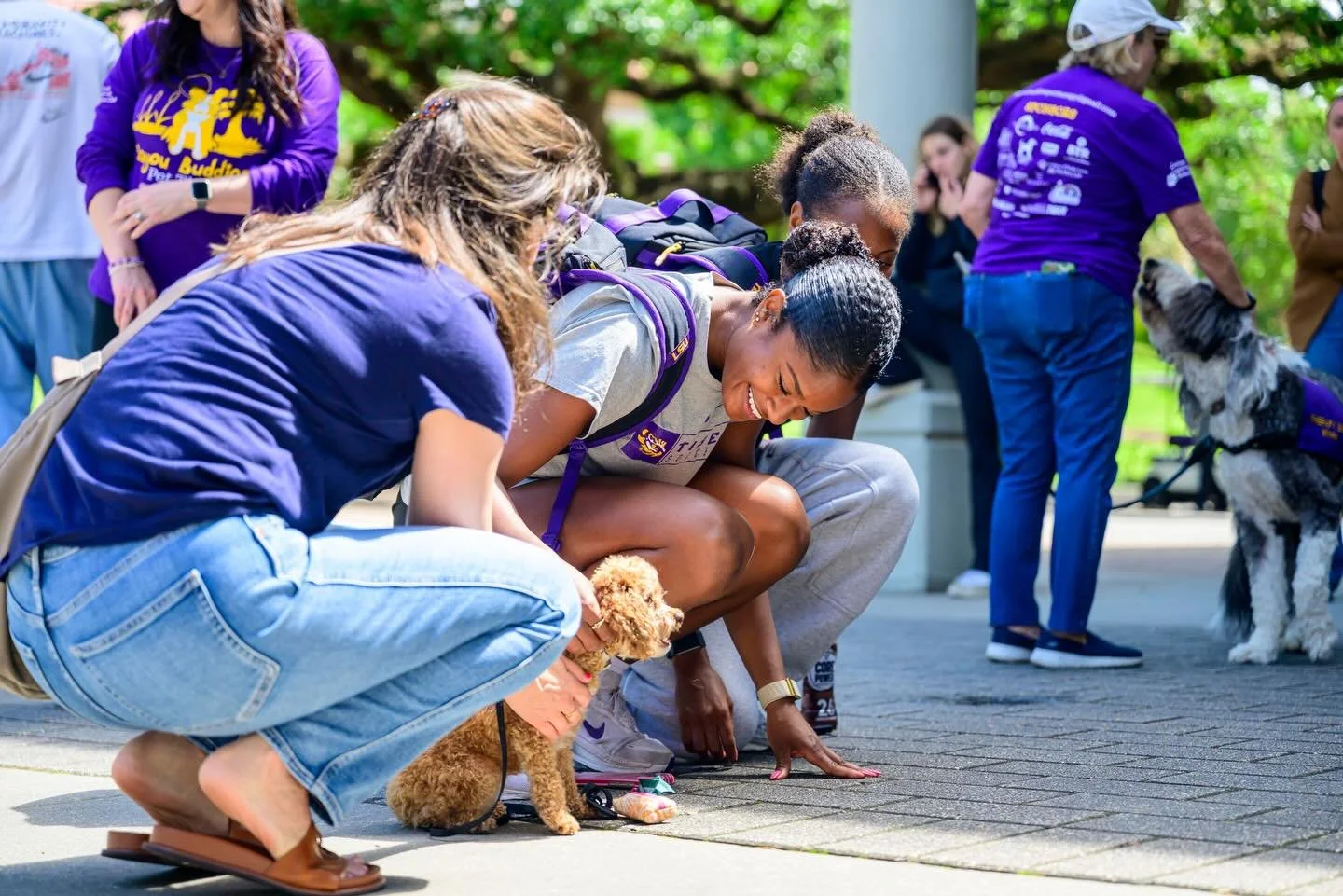 Wellness Wednesday 🐶 with the best furry friends