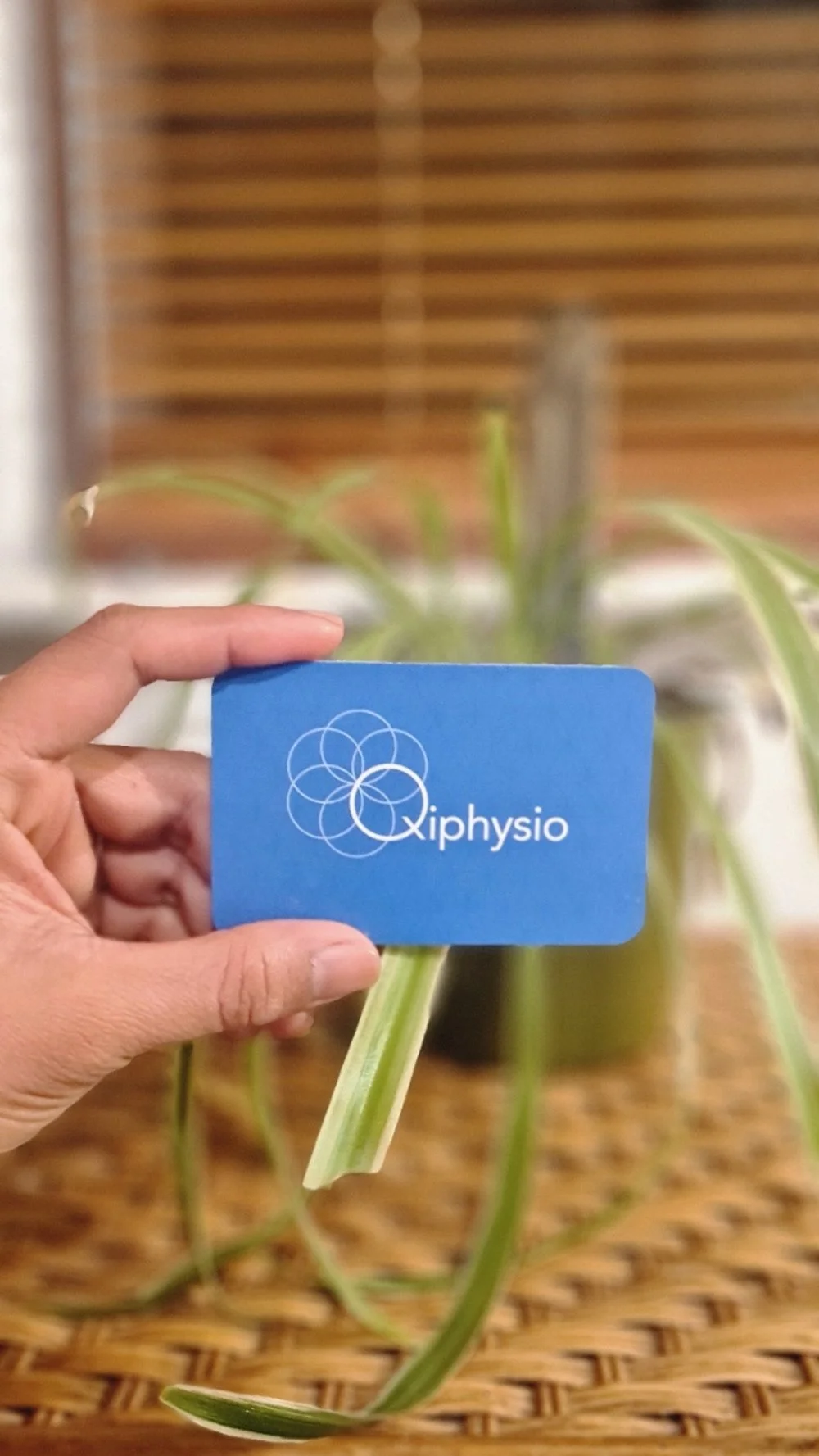 Qiphysio Qigong Memberships photo.jpg