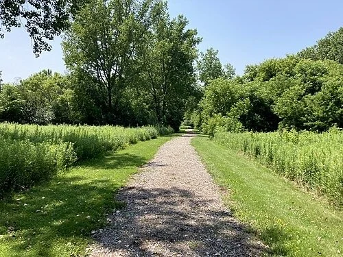 Forest Bathing Walk