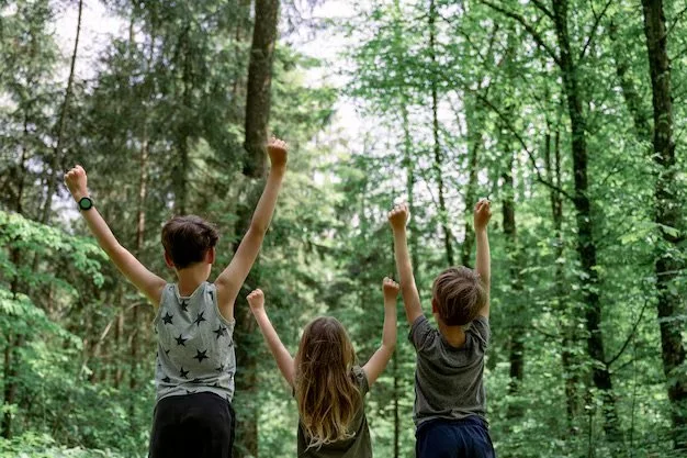 Kids Forest and Flow