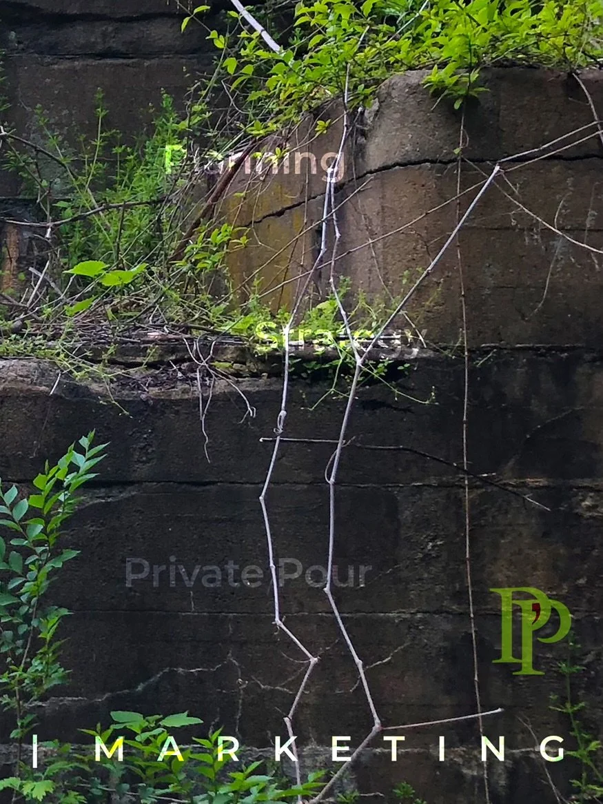 🗽

* The Stimulus: We didn&rsquo;t sell real estate; we sold an identity, a visual aesthetic, and a cultural narrative through planned disruption and curated media (11211 Magazine).

* The Neuro-Response: This targeted the brain&rsquo;s dopaminergic