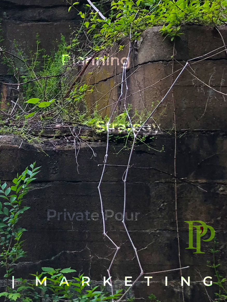 8 PP Sections 03.png