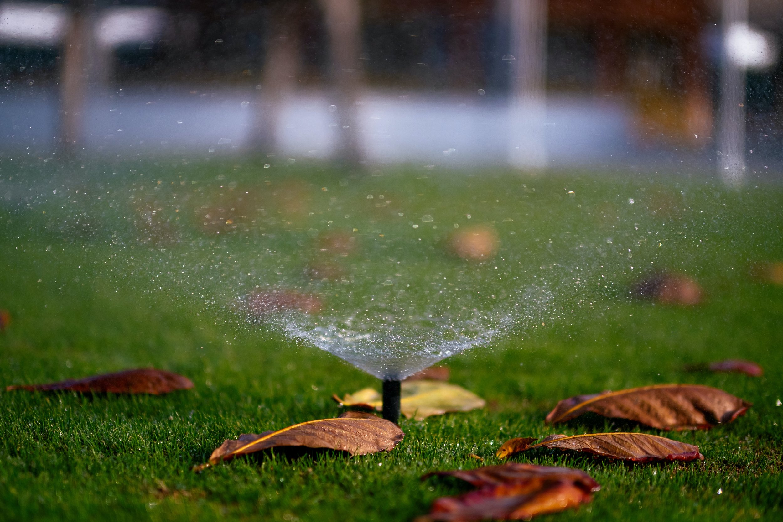 In-Ground Sprinkler System 101