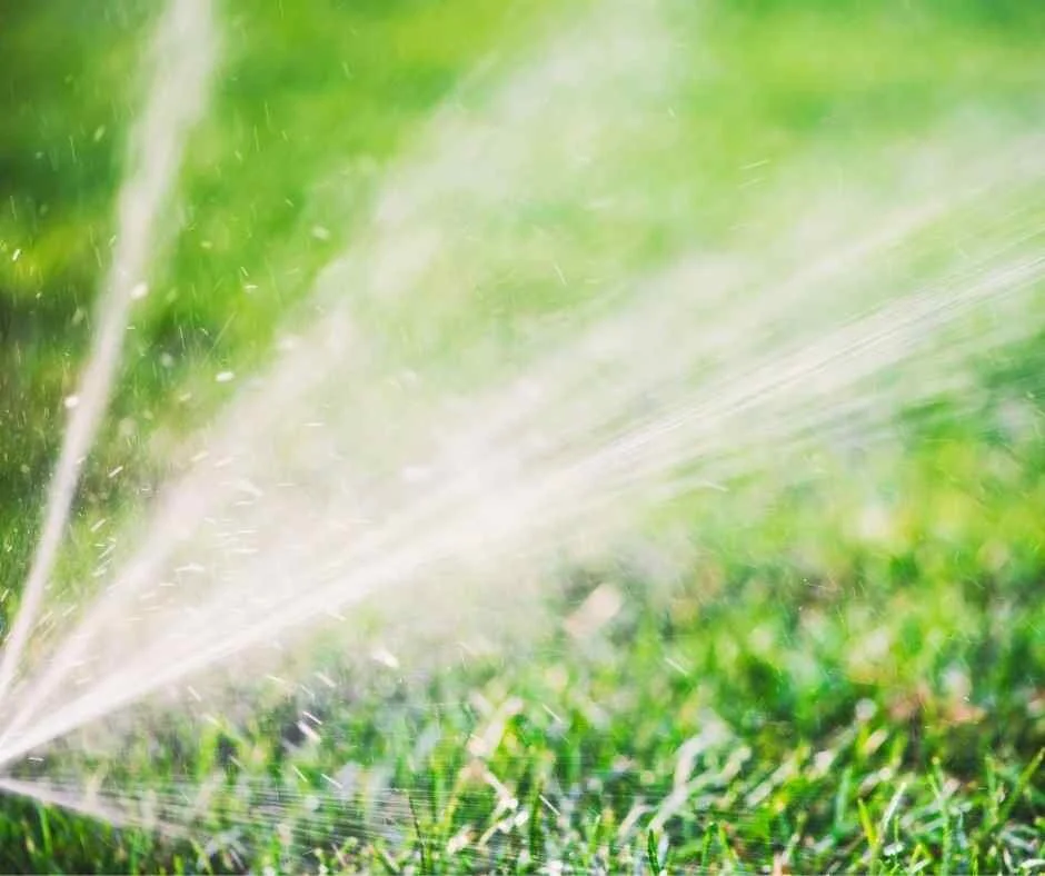 Watering New Sod Your Complete Guide Commercial Lawn Irrigation watering-new-sod-your-complete-guide-commercial-lawn-irrigation