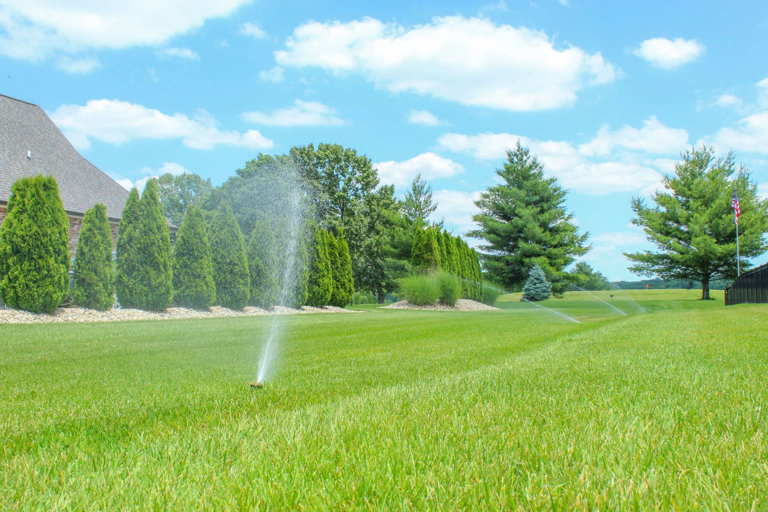 sprinklers 2.jpeg