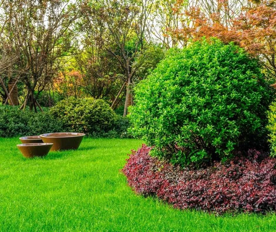 Beautiful view of Commercial Sprinkler System Installation Companies