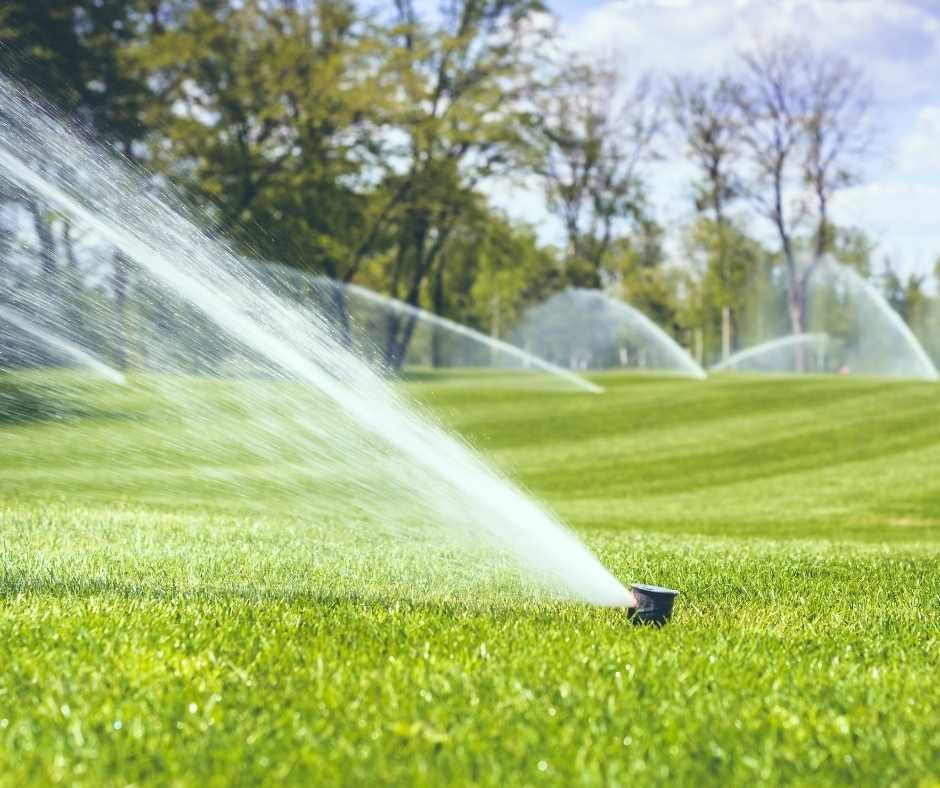 The Different Types of Sprinkler Heads: What Each Means for Your